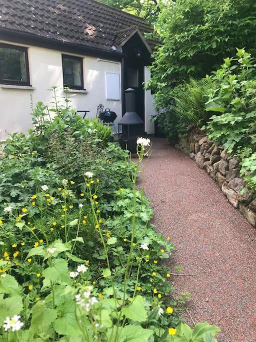 Cute studio cottage. Wood burner. Amazing views view 2