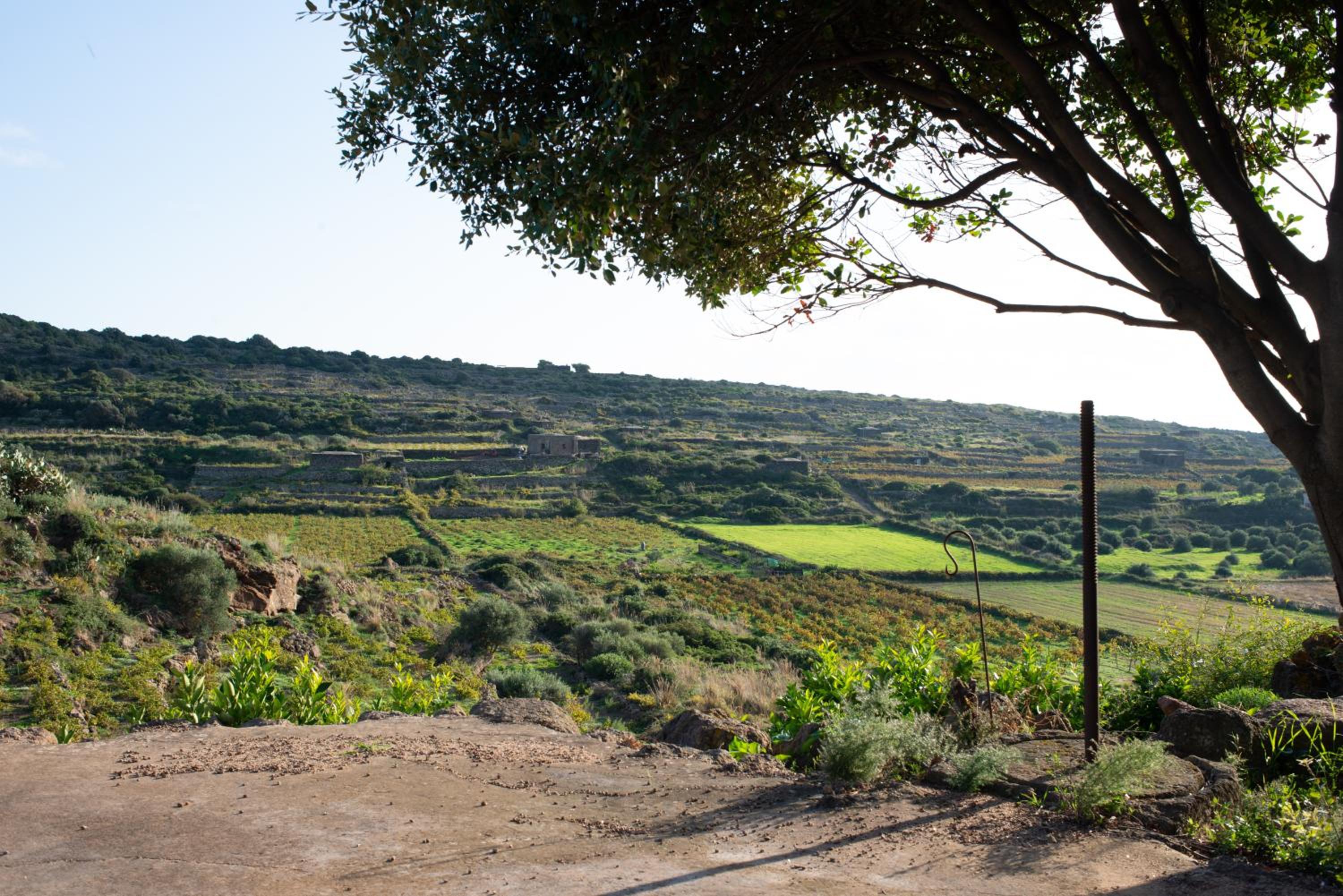 Dammusi IL SERRALH -Pantelleria-