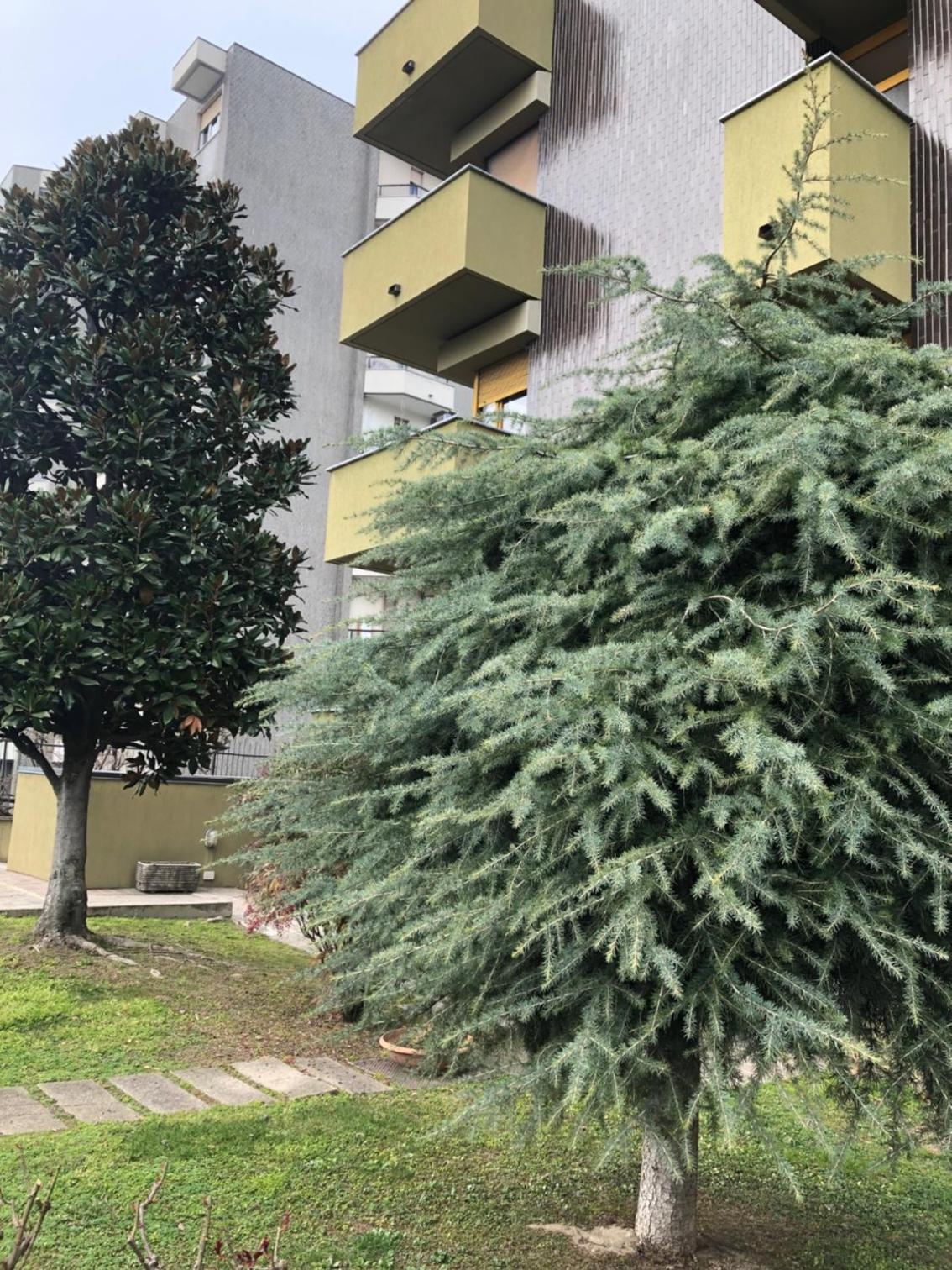 MilanBed