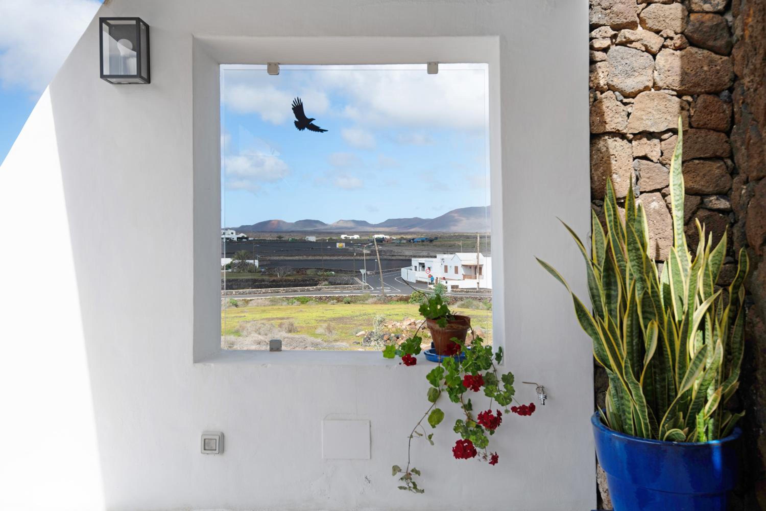 La Orilla del Volcán photo 4