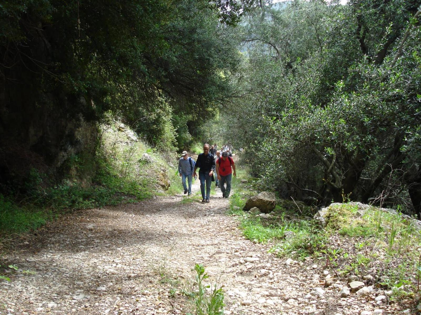 Photo 18