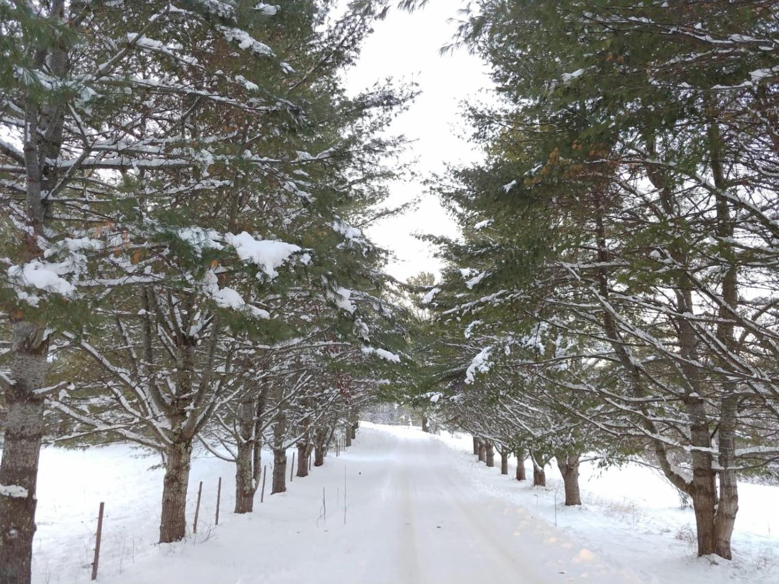 Spacious country retreat close to town and nature, Sylvana Farm VT view 3