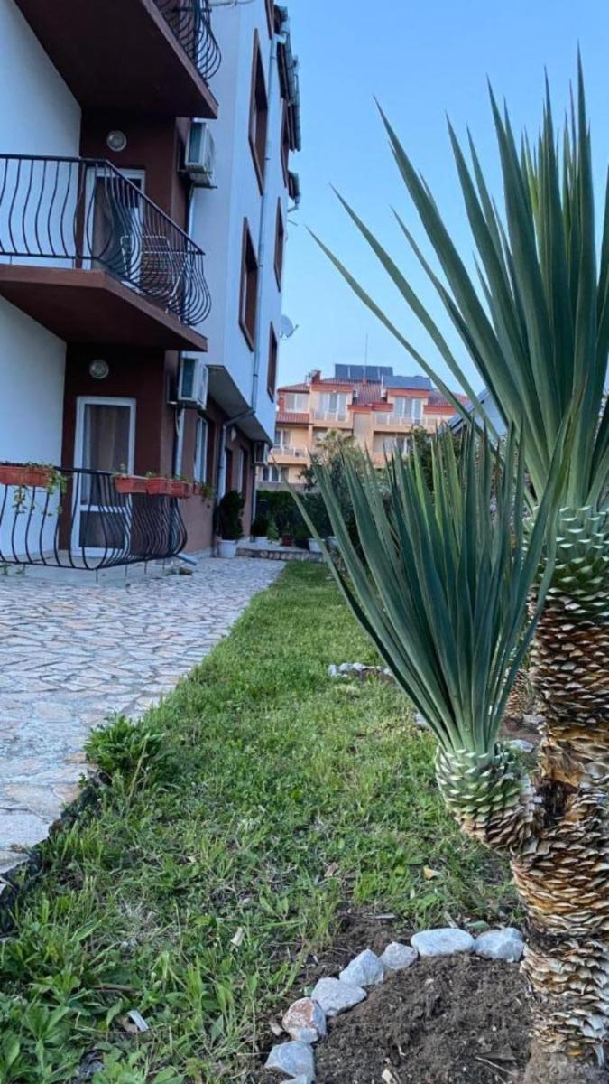 Studio Seaven, Lozenets