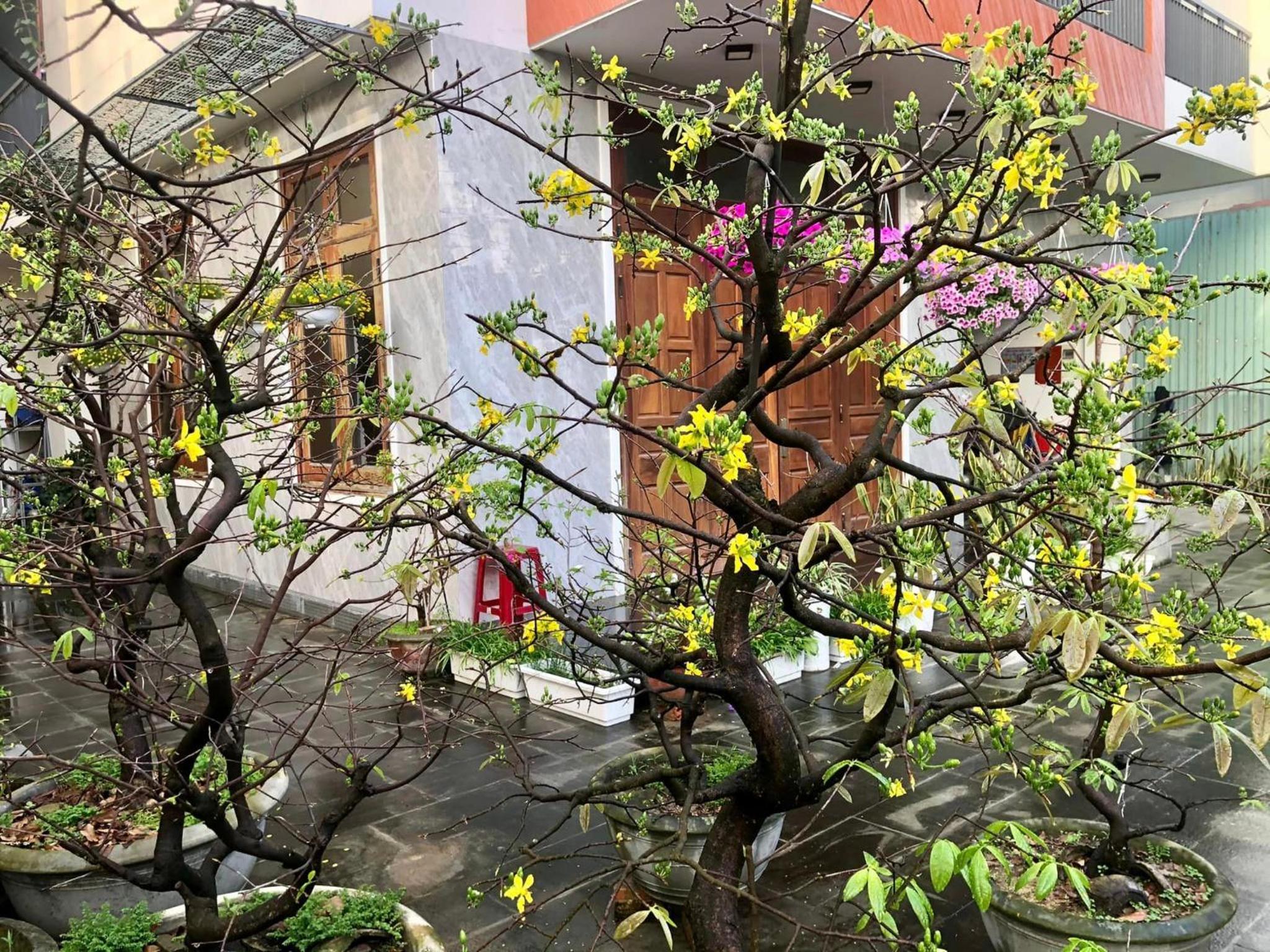 Homestay Phương House