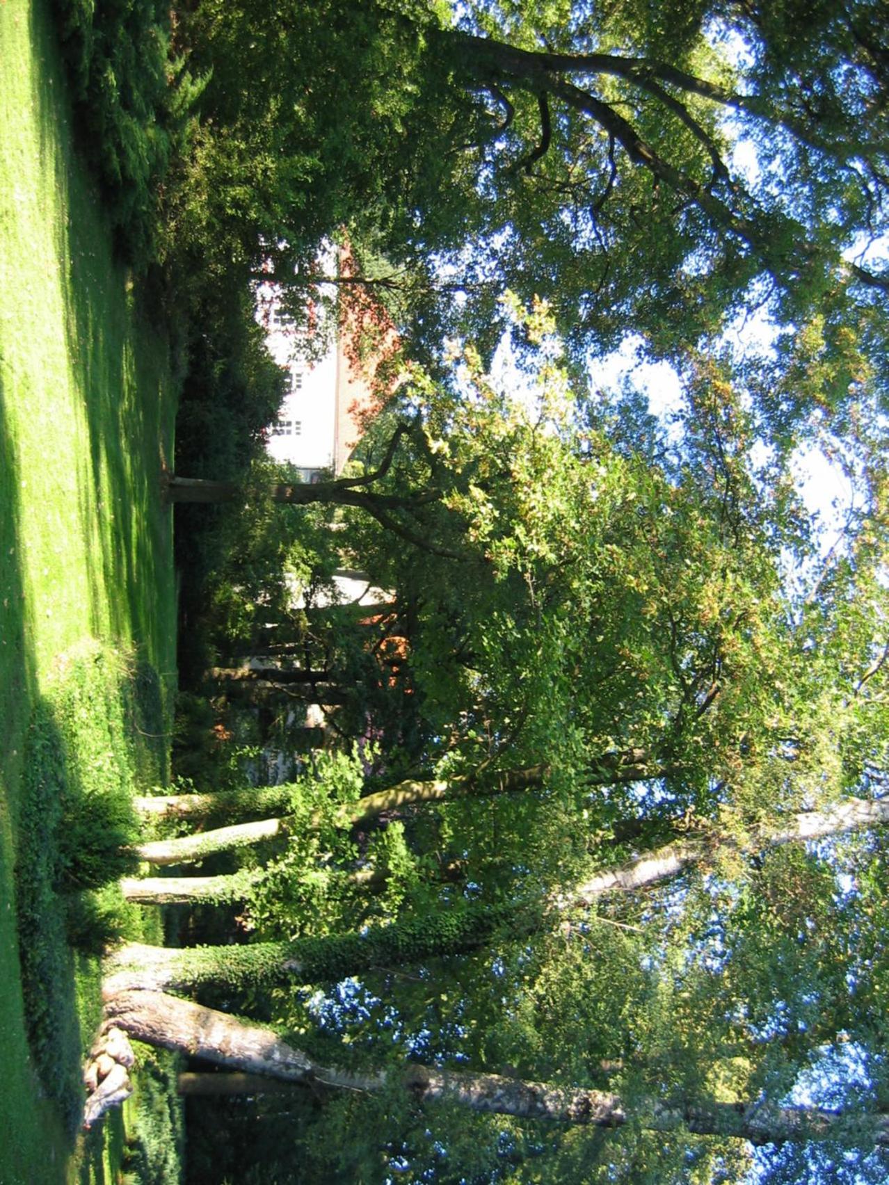 HolidayPark Mlázovy