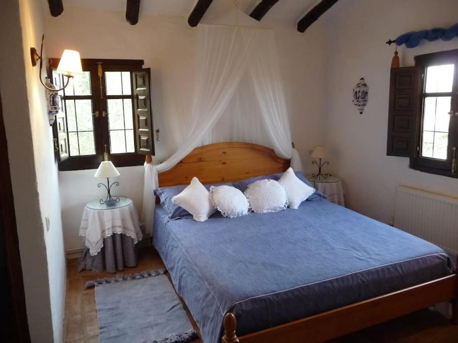 La Molina Del Olivar - Peaceful Location view 3