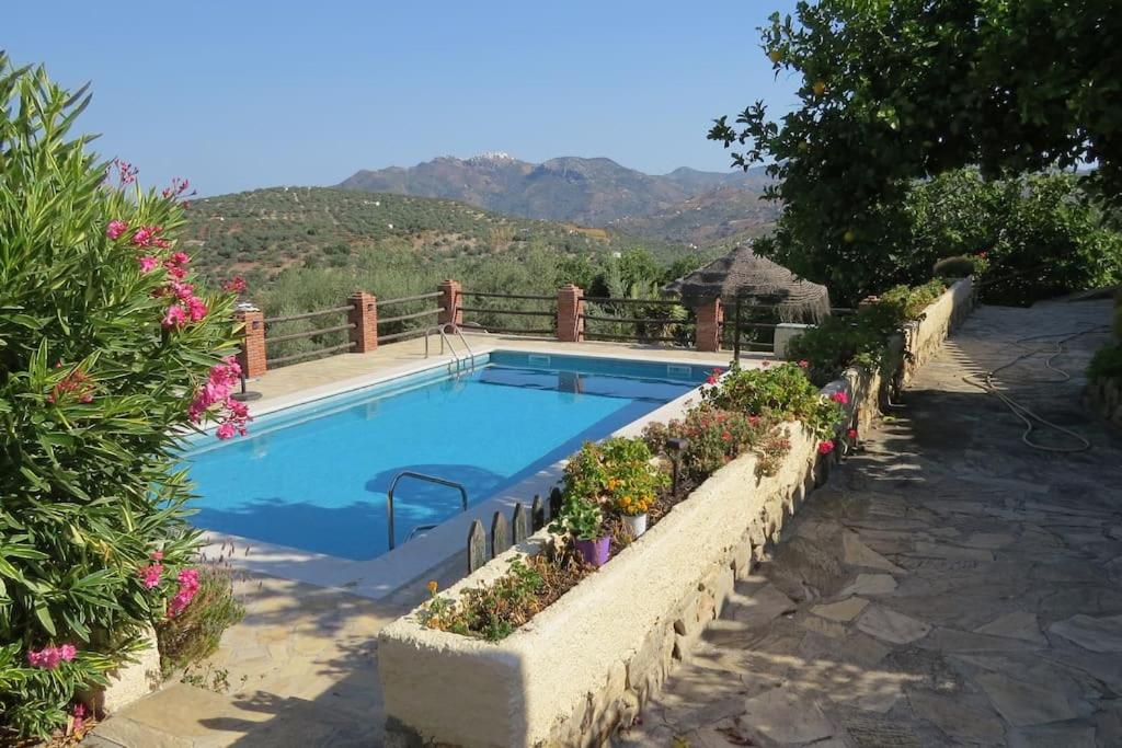 La Molina Del Olivar - Peaceful Location view 5