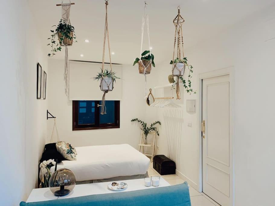 Apartamento Puerta del Camino 6