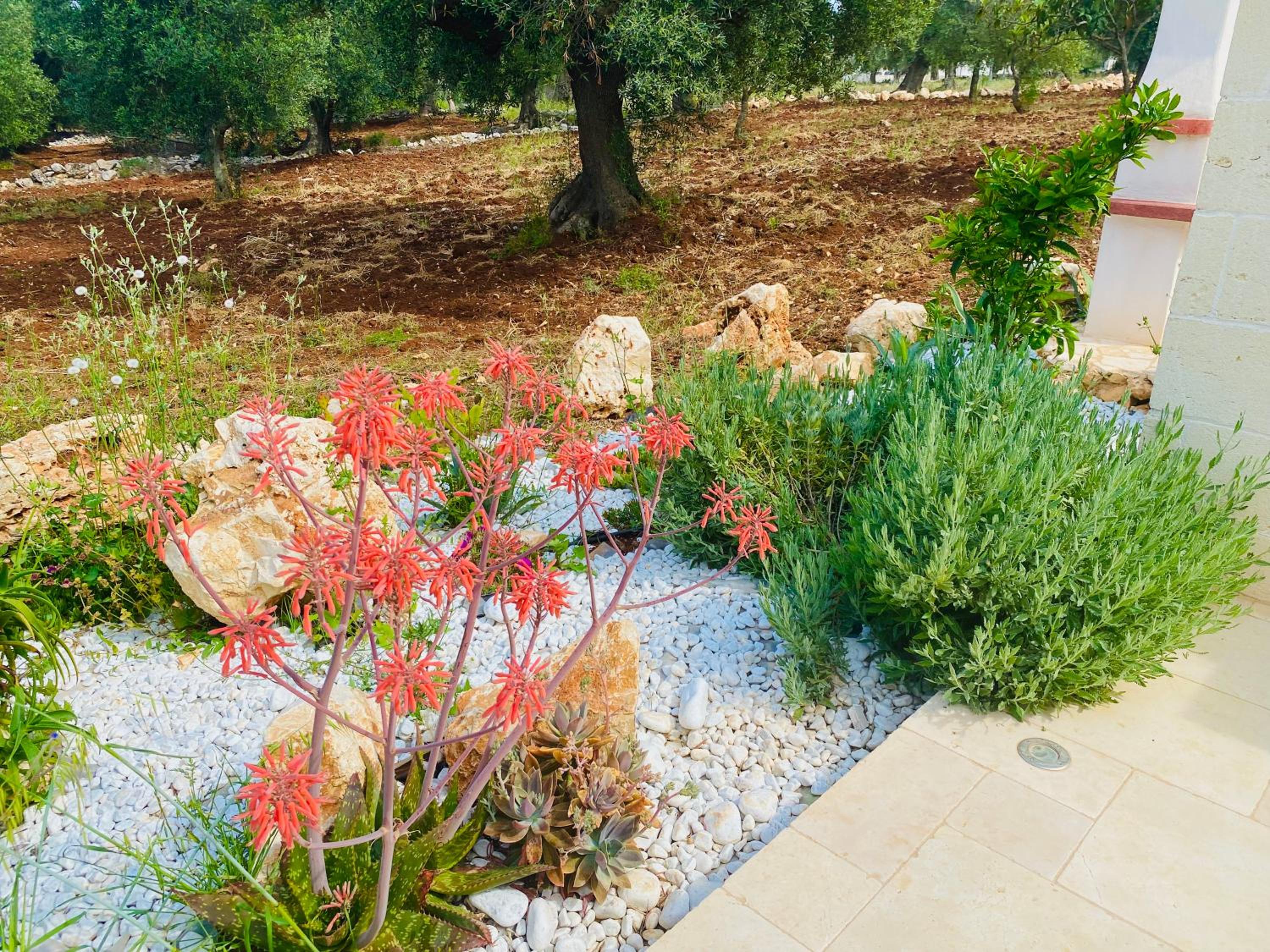 NEW SHEPHERD HOUSE, CAROVIGNO, 2 Adults + 1 child view 3