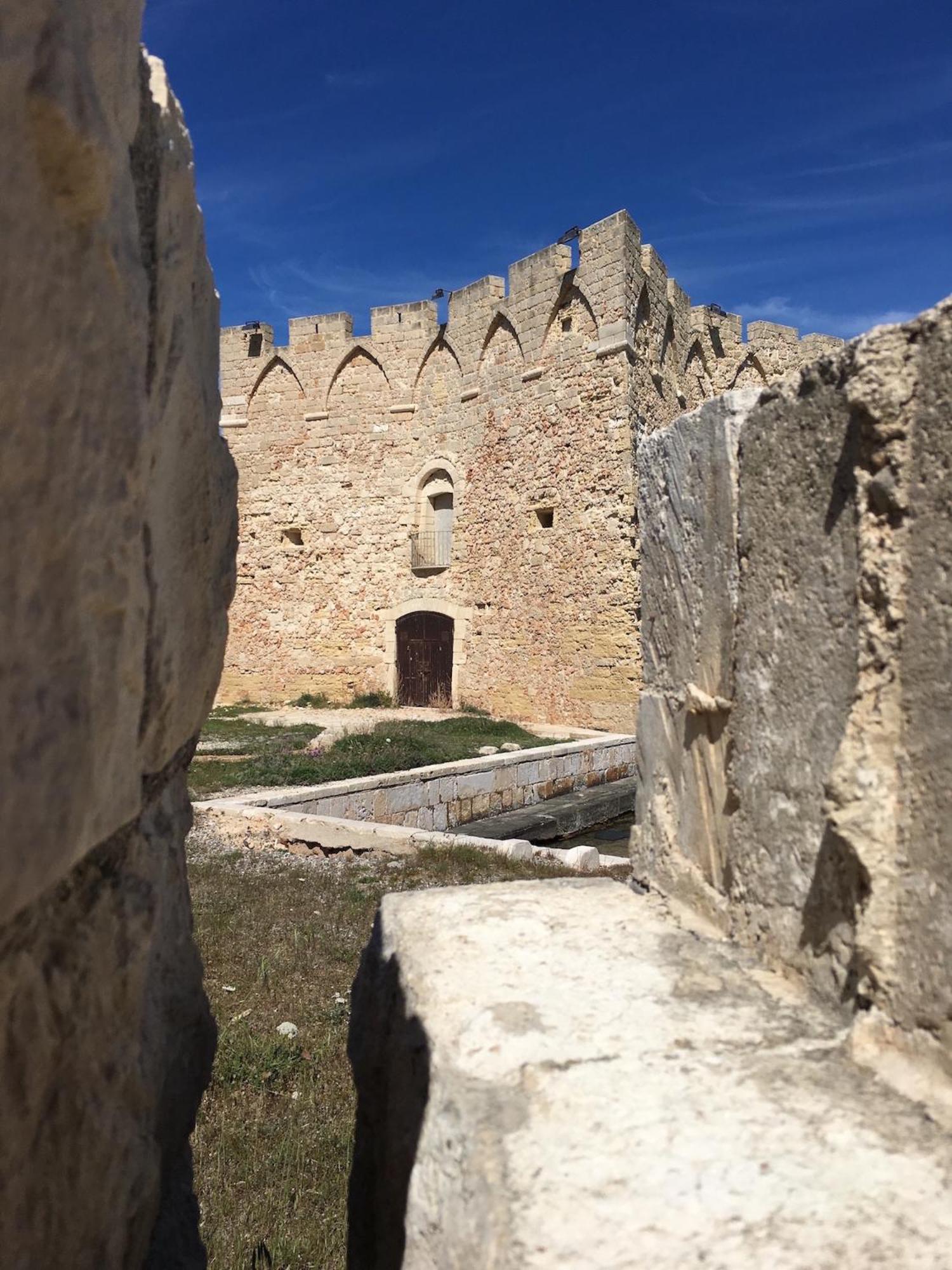 Photo 41