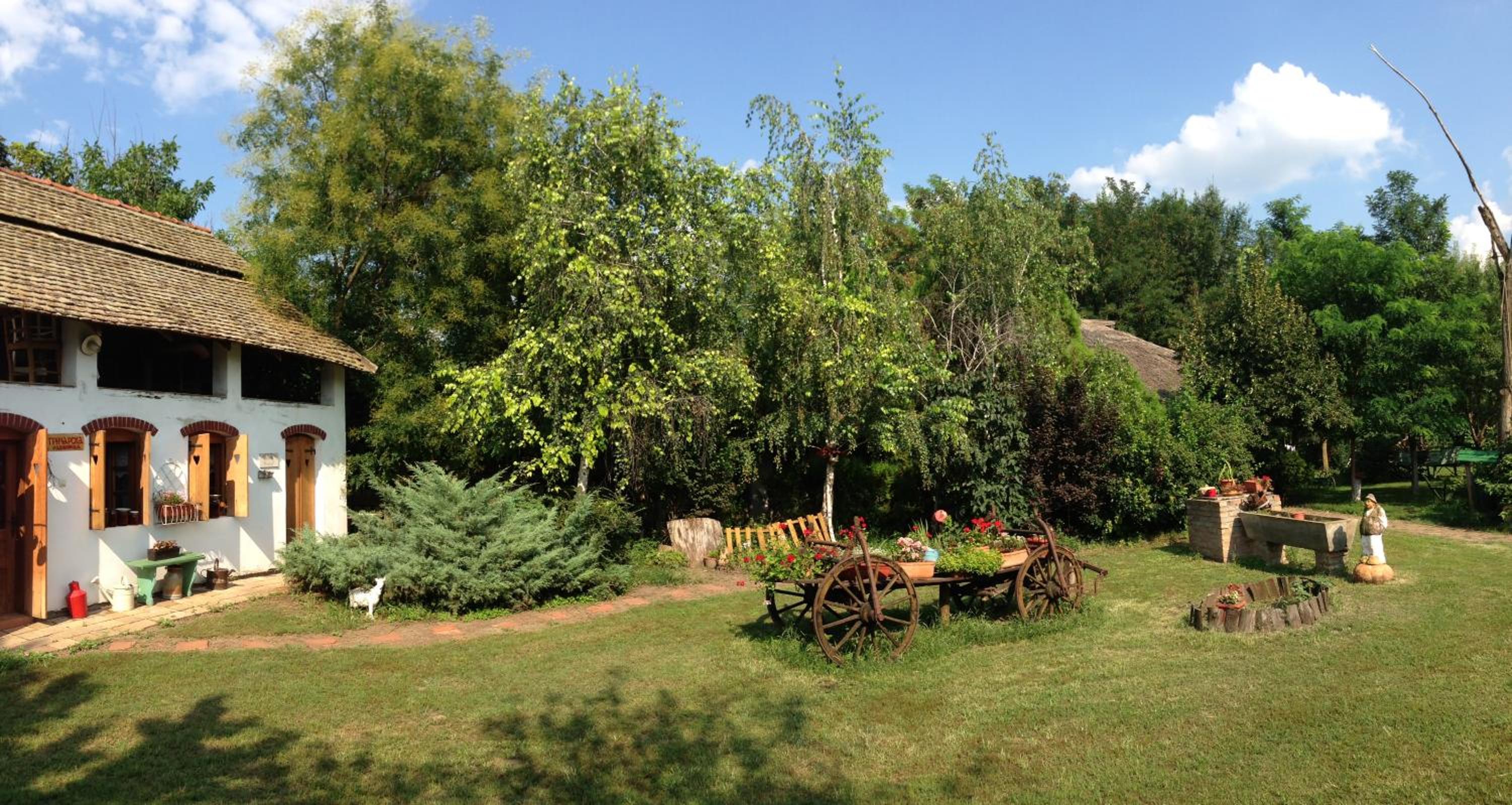 Photo 26