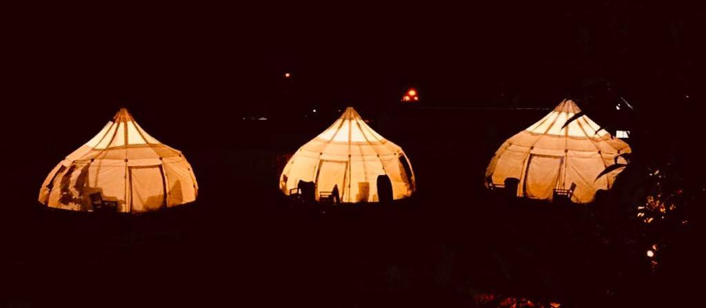 Totoralillo Glamping