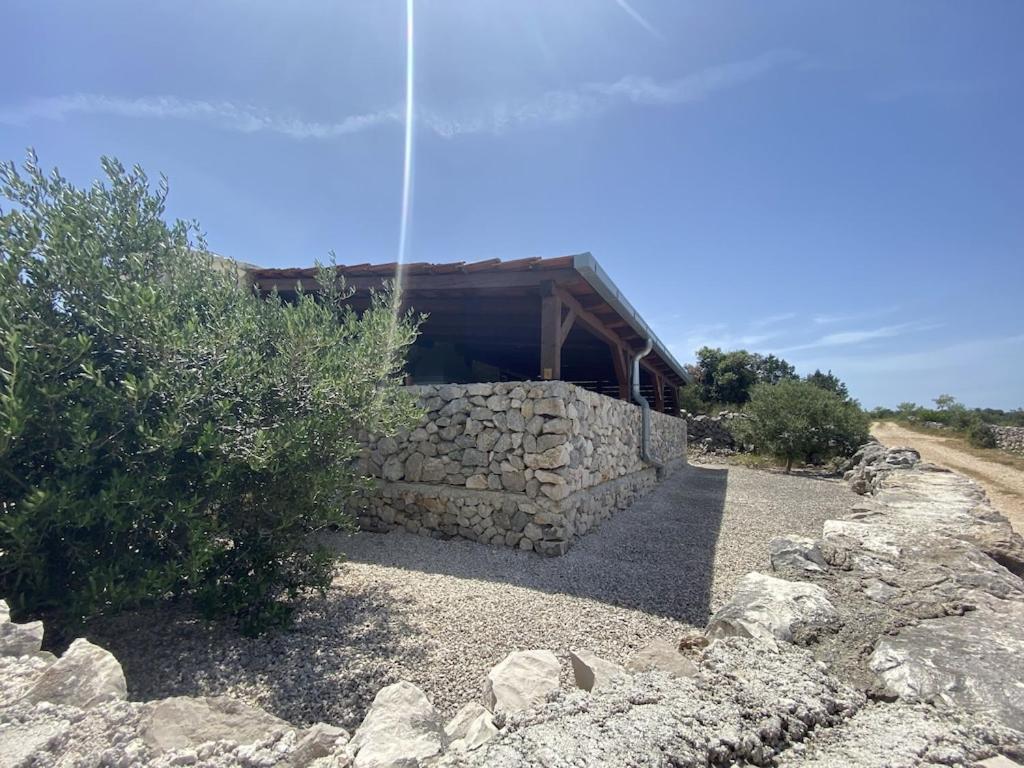 Photo 22