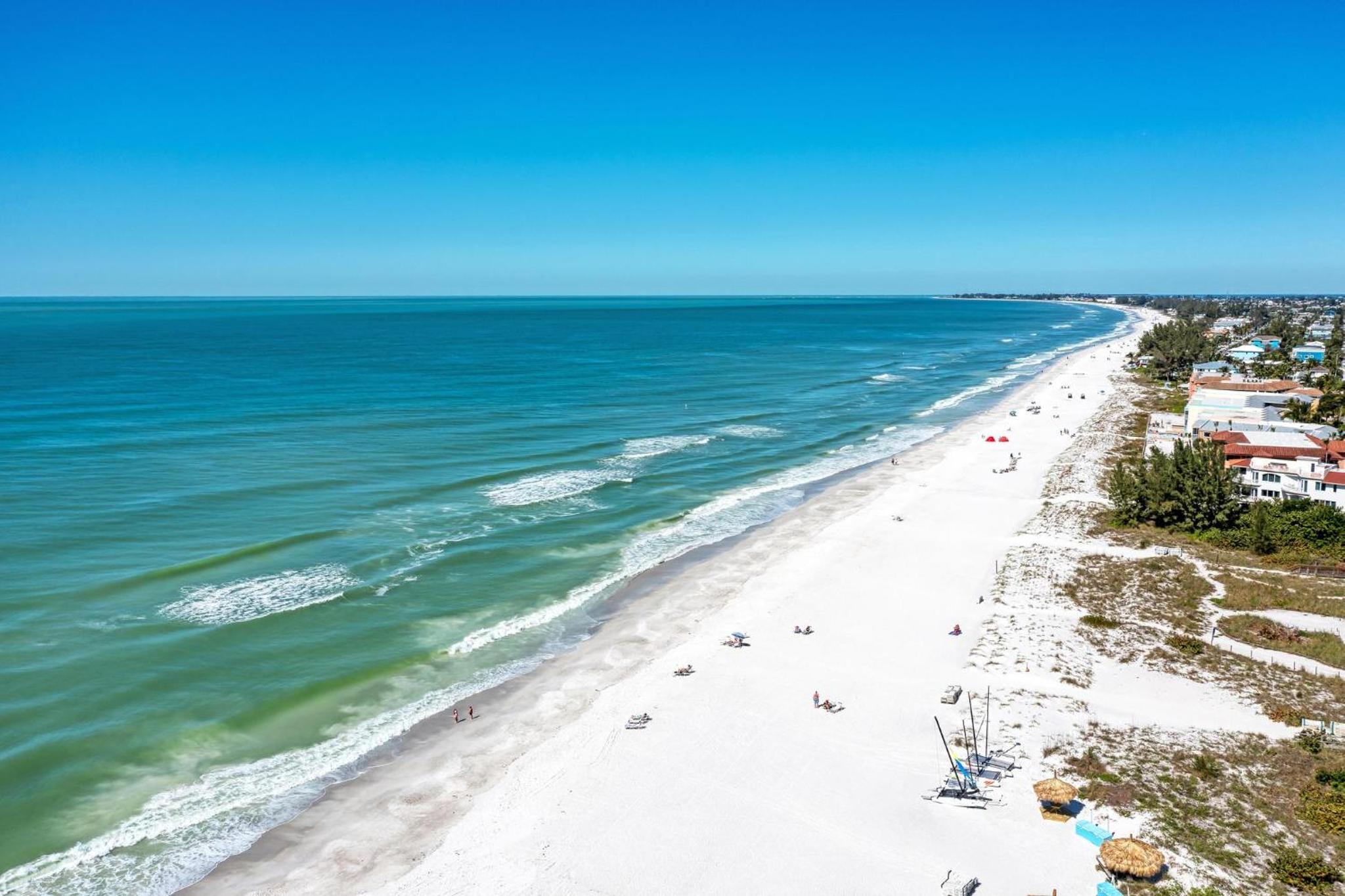 Anna Maria Island Beach Palms 5B view 4