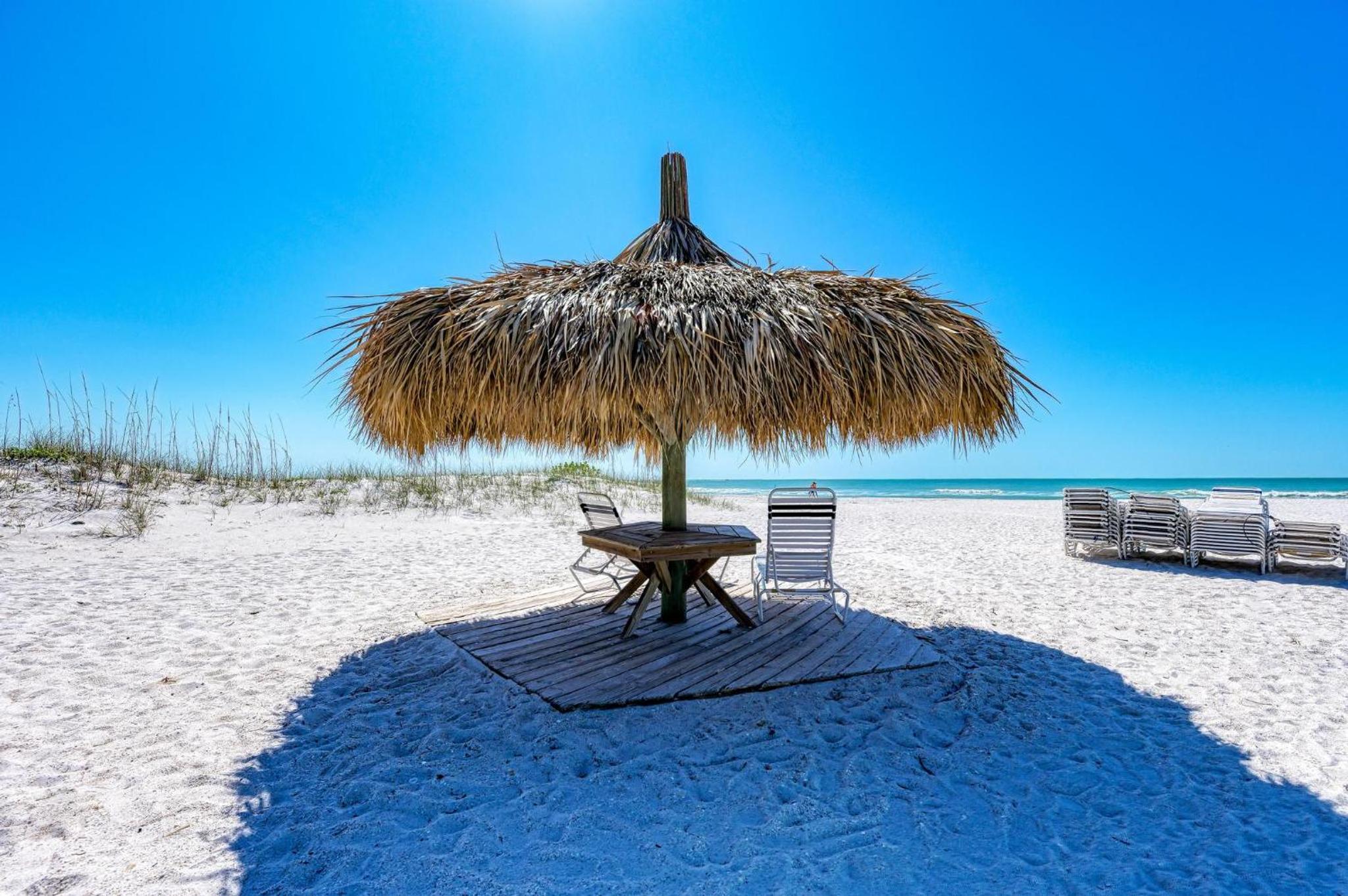 Anna Maria Island Beach Palms 5B view 5