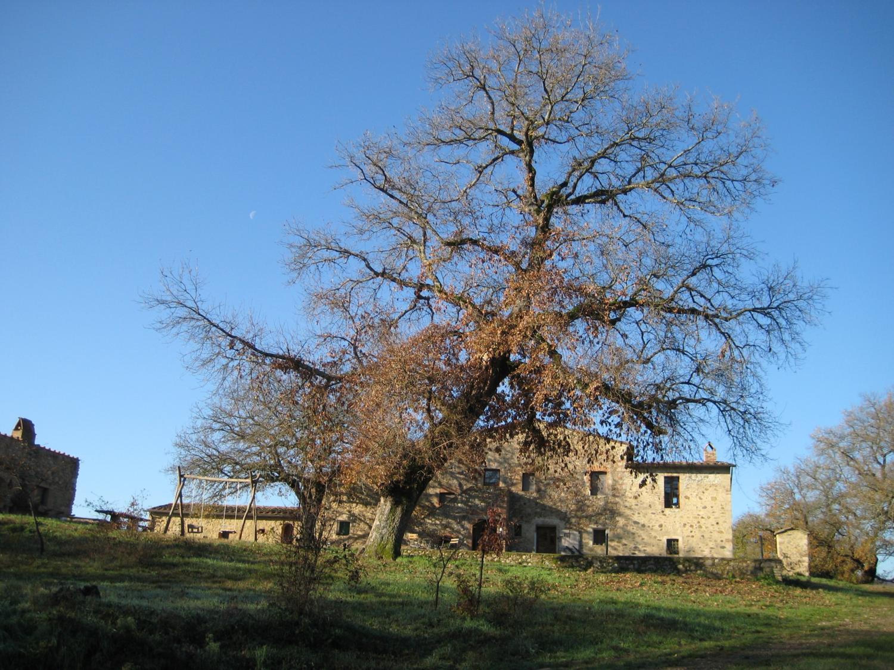 Agriturismo il Casalino