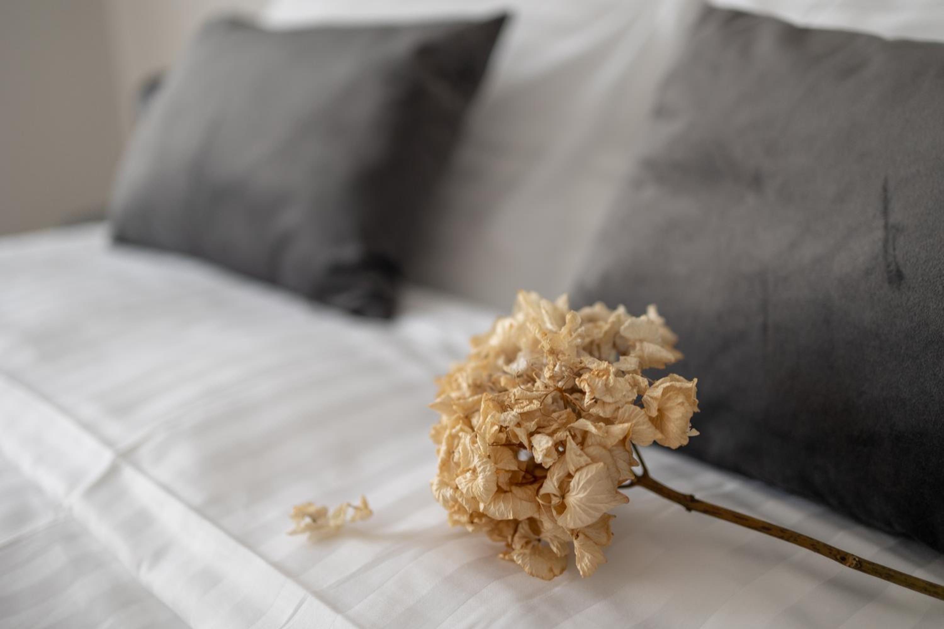 Kaleo Chios Luxury Apartments