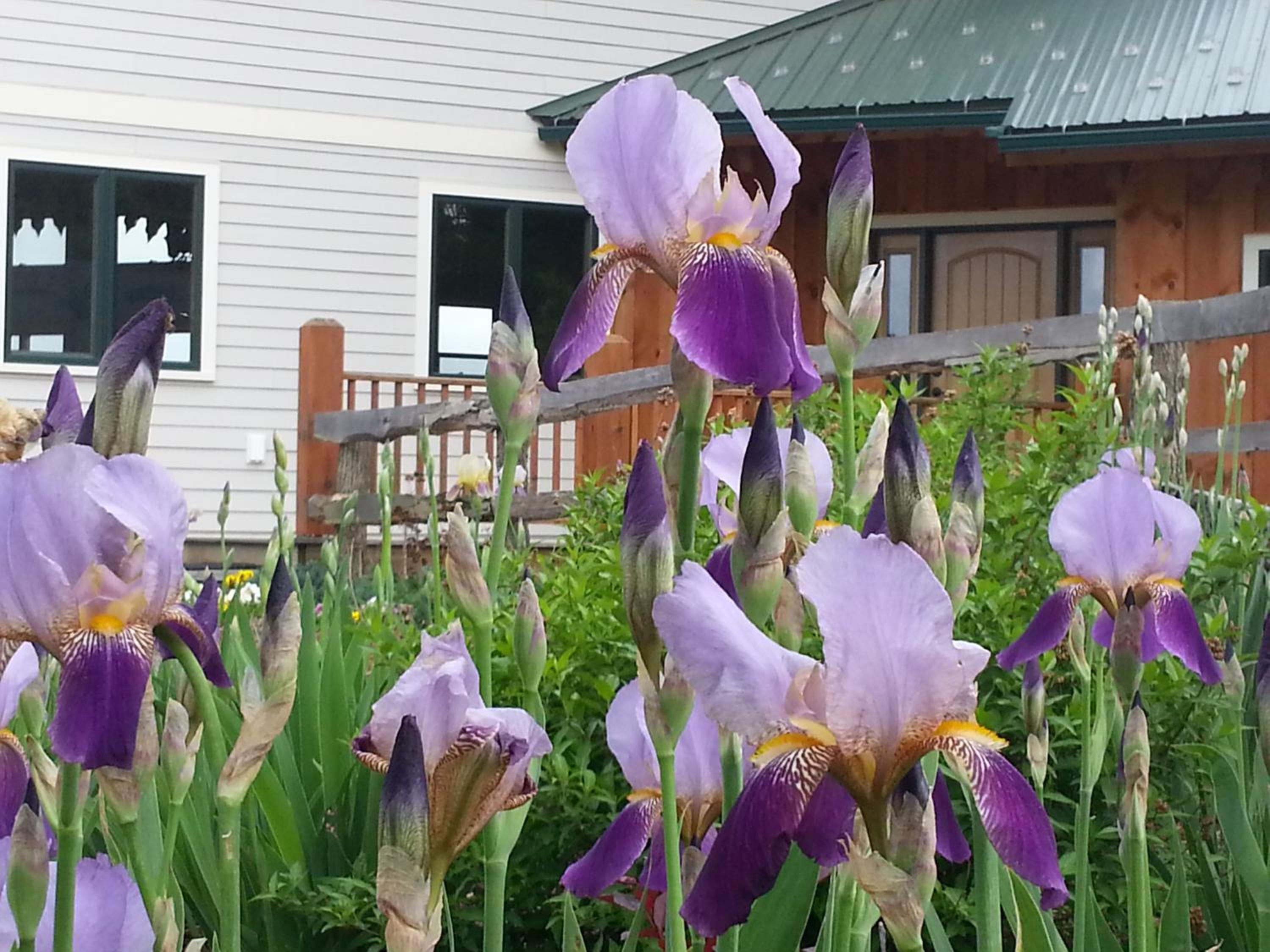 Tenwood Lodge view 2