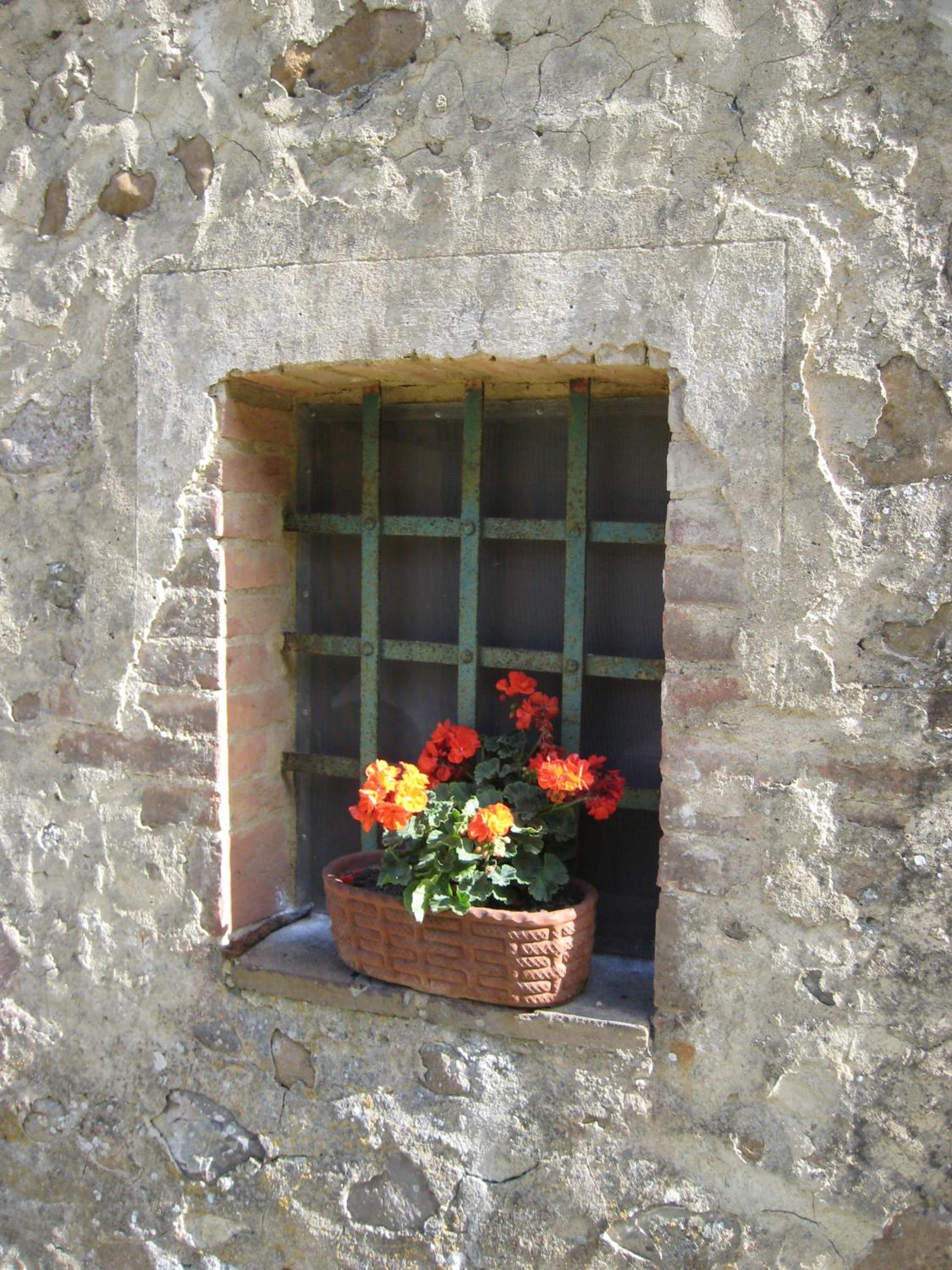 Agriturismo il Casalino