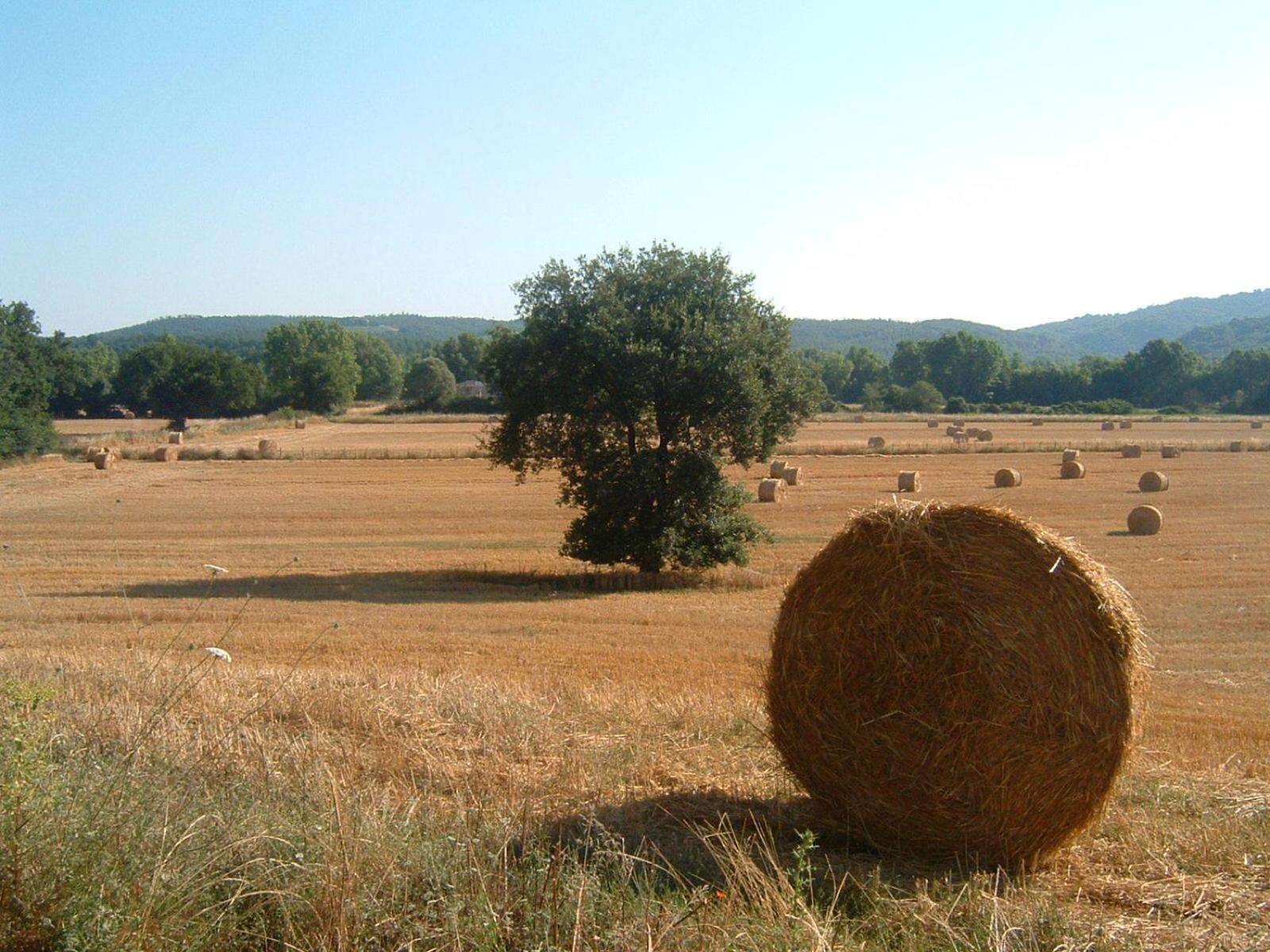 Agriturismo il Casalino