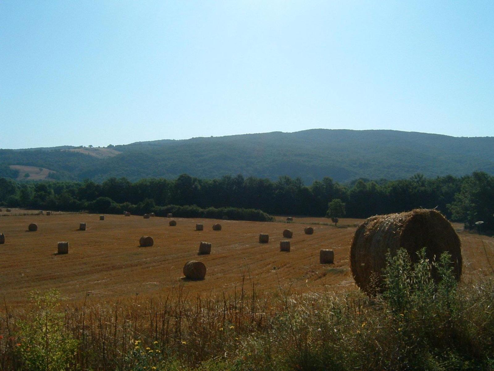 Agriturismo il Casalino
