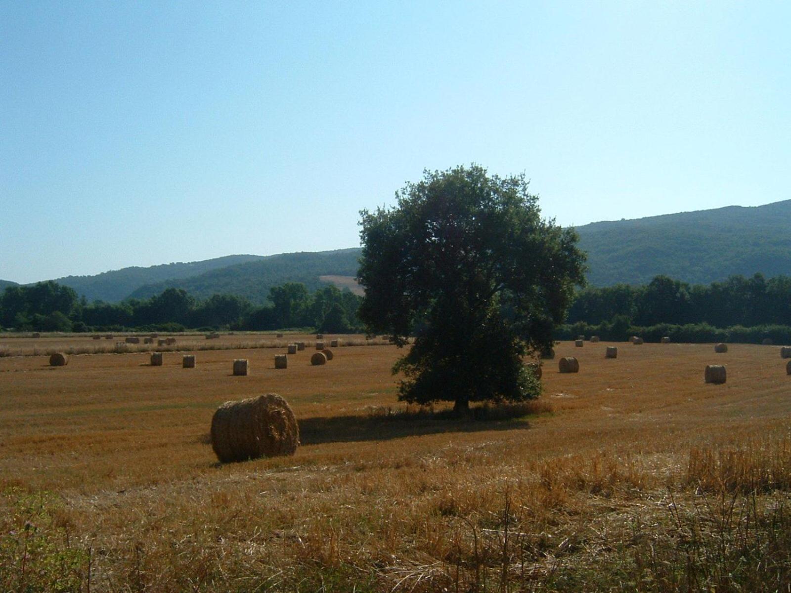 Agriturismo il Casalino