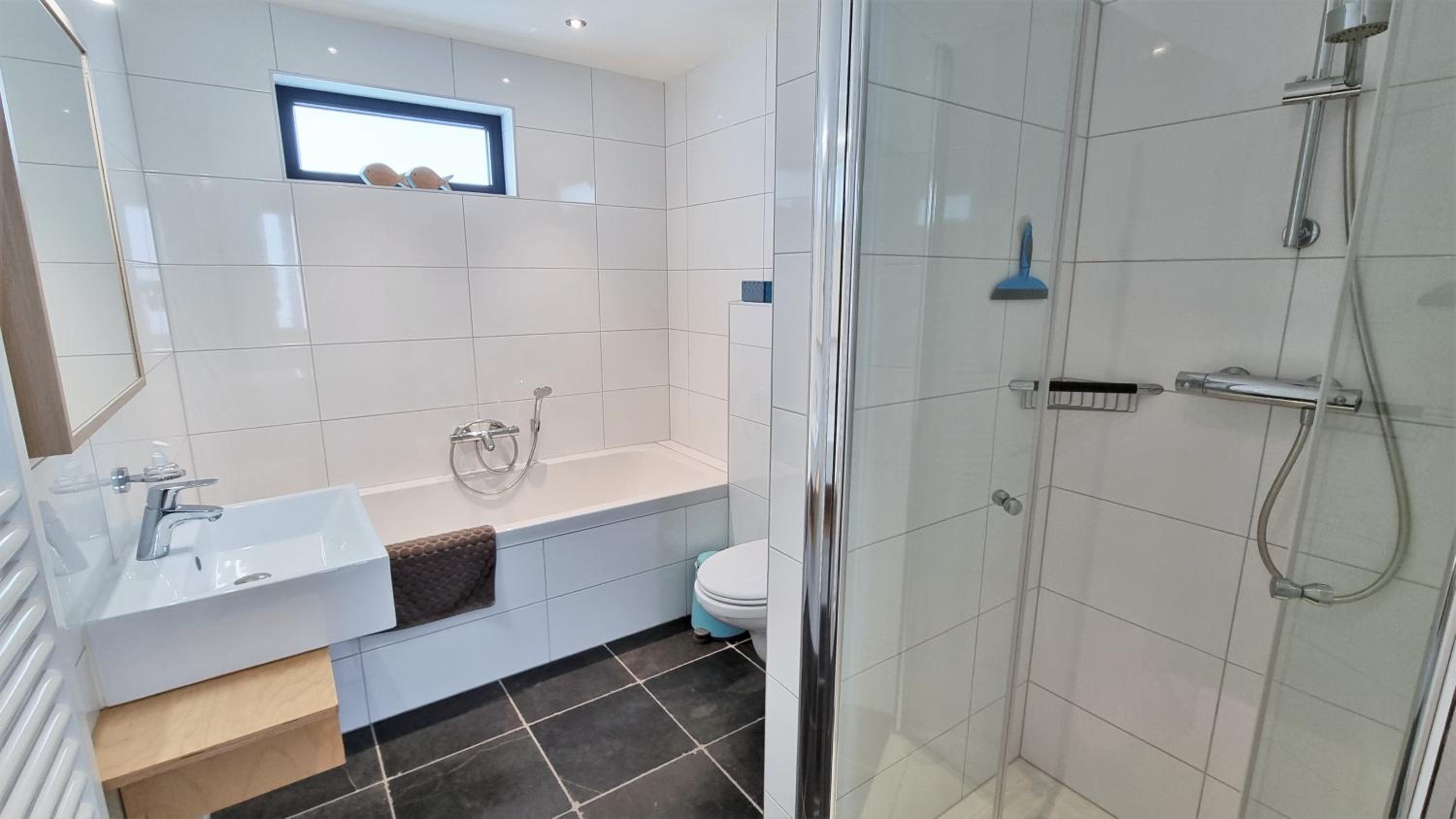DCG57 Vakantiewoning met zicht op de molen view 3