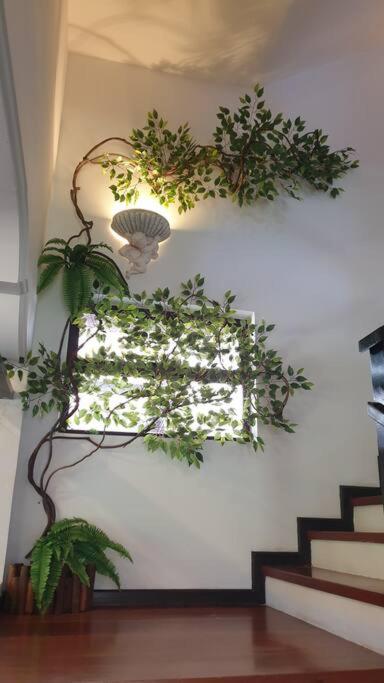 Templer Guesthome