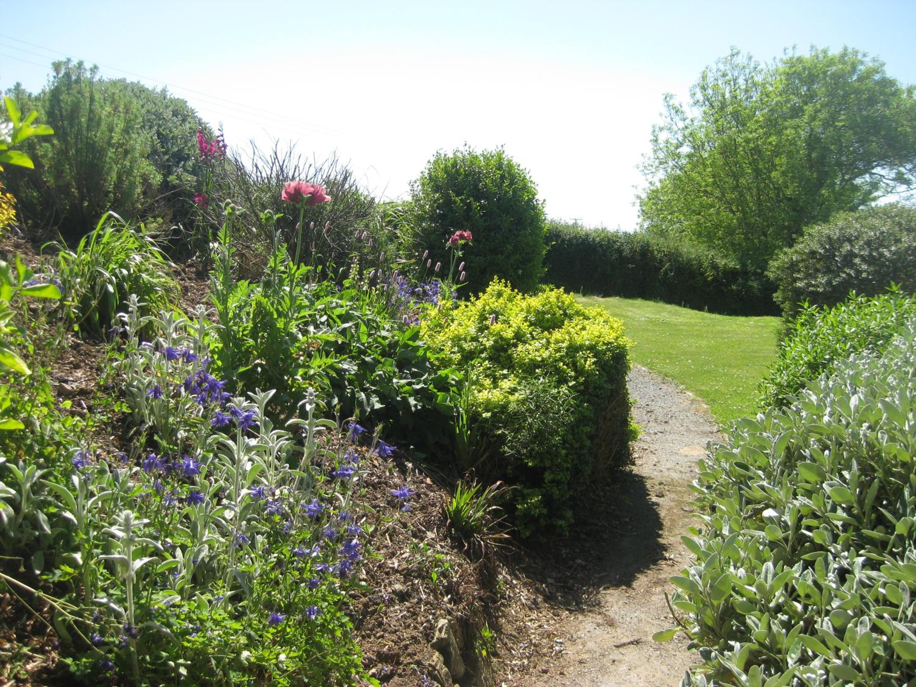 Photo 28