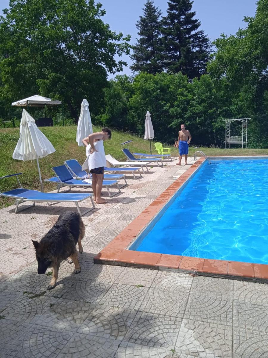 Photo 46
