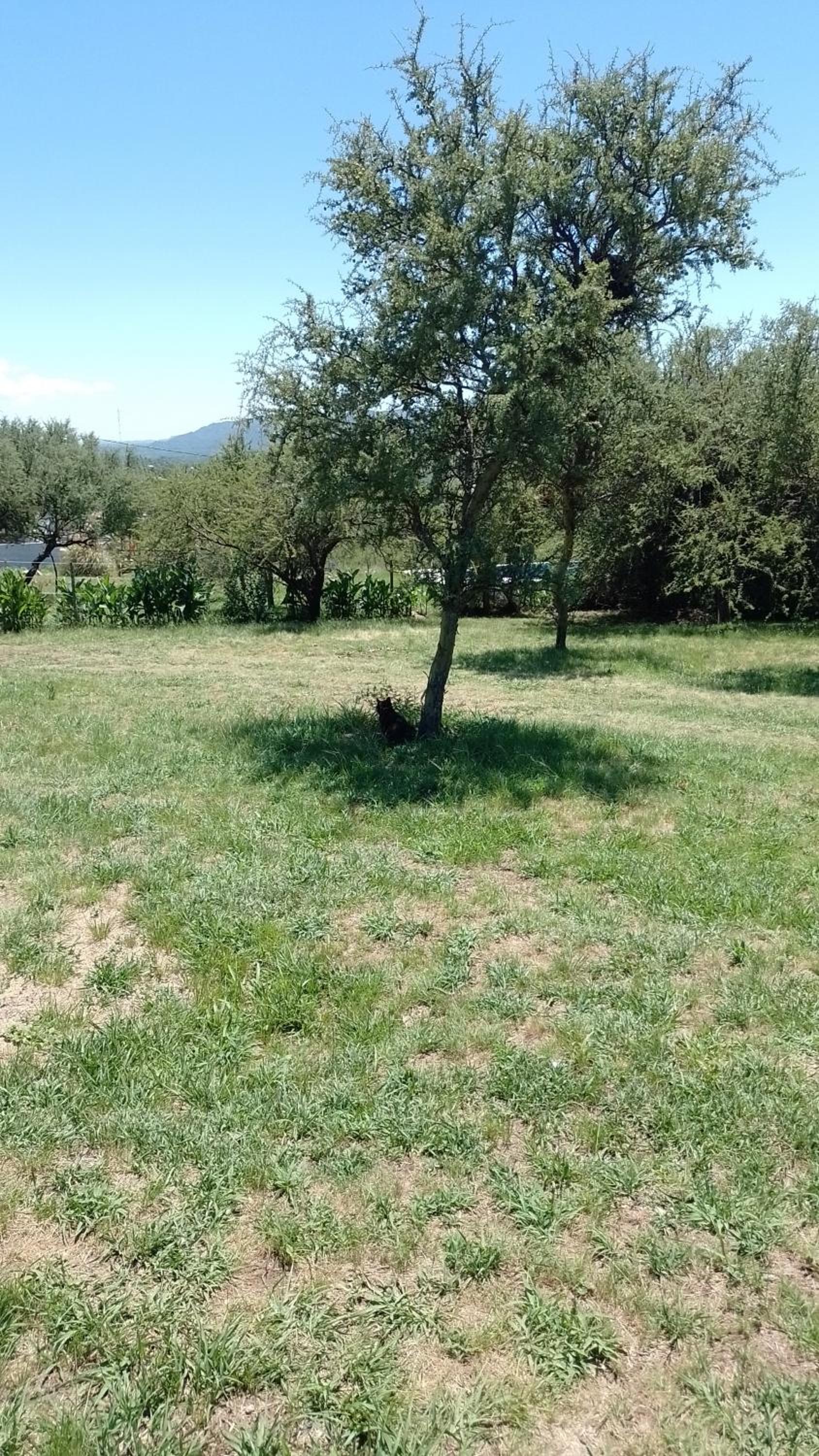 Sendero de Luna