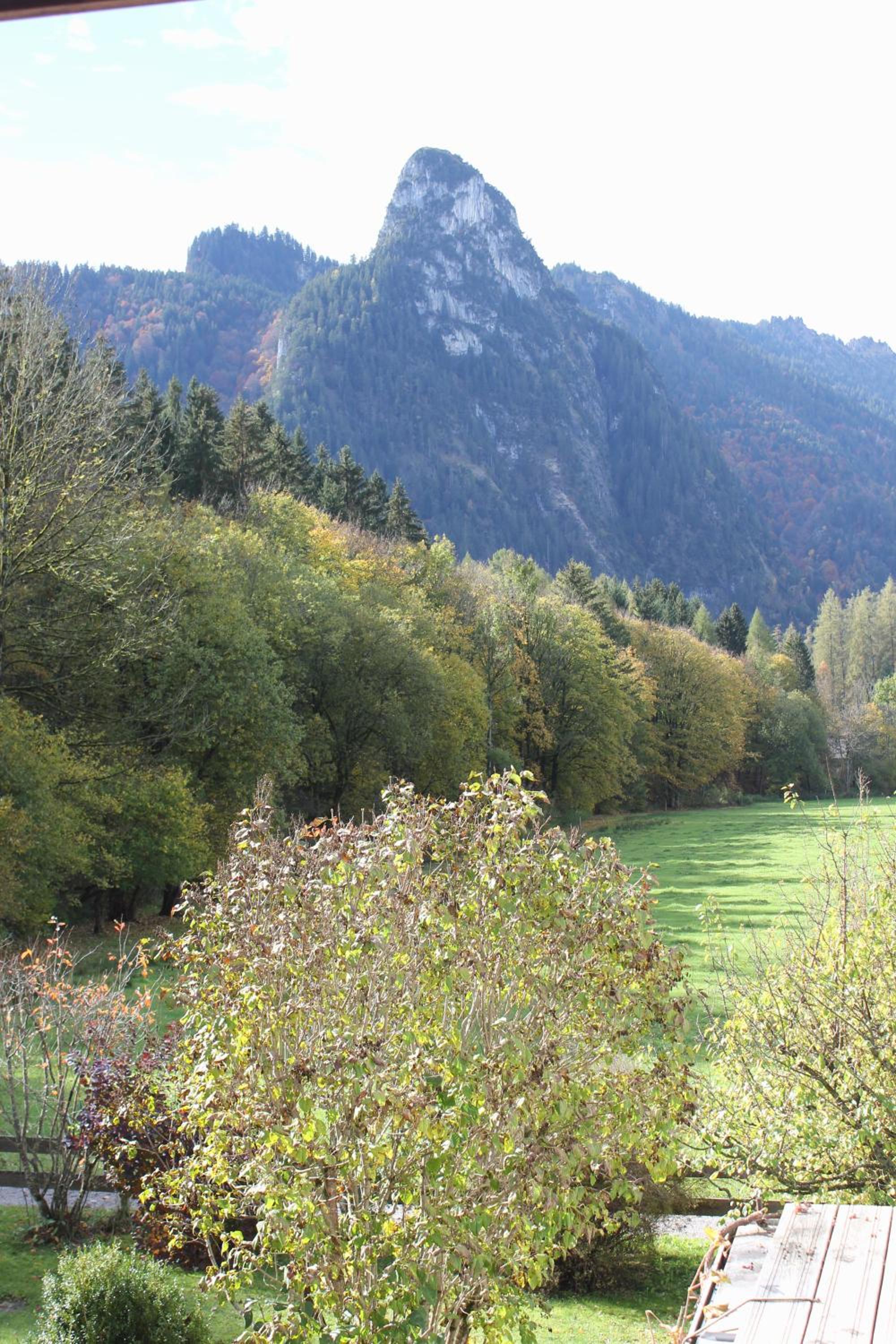 Photo 28