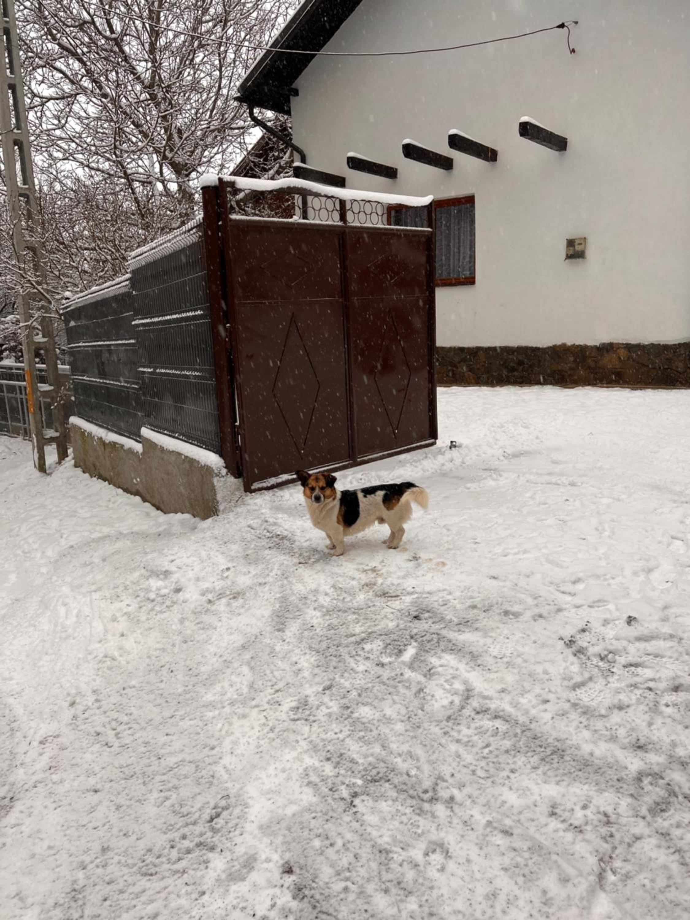 Photo 33
