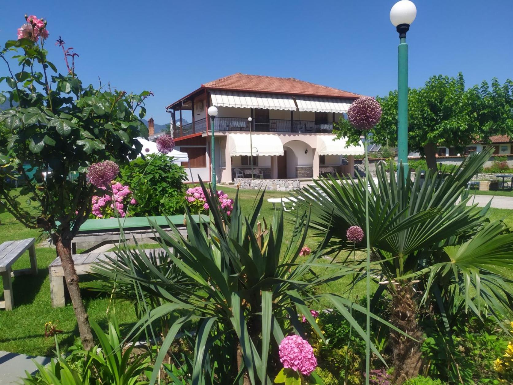 Hotel Villa Dimitris - Image 1