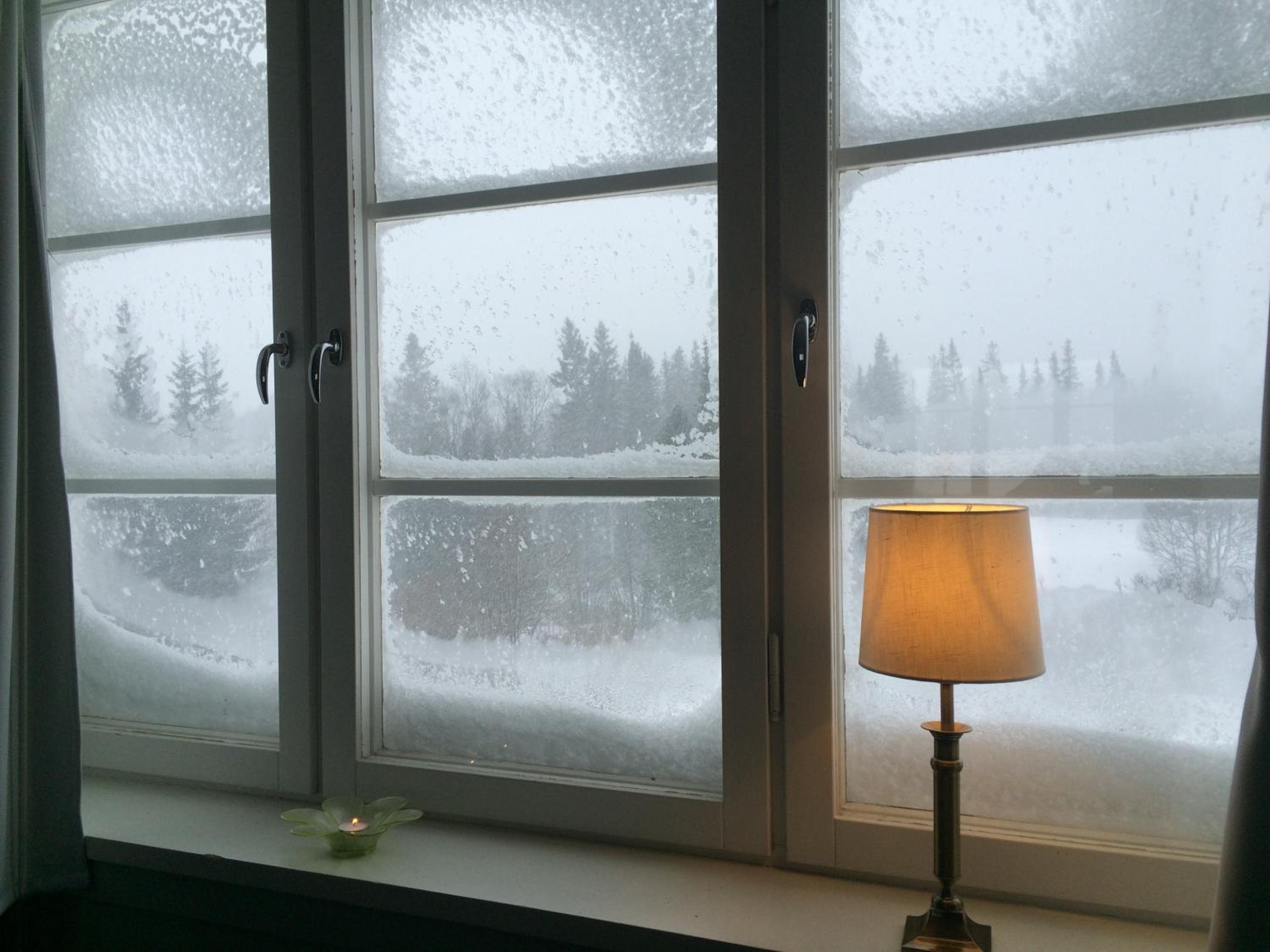 Enaforsholm Fjällgård