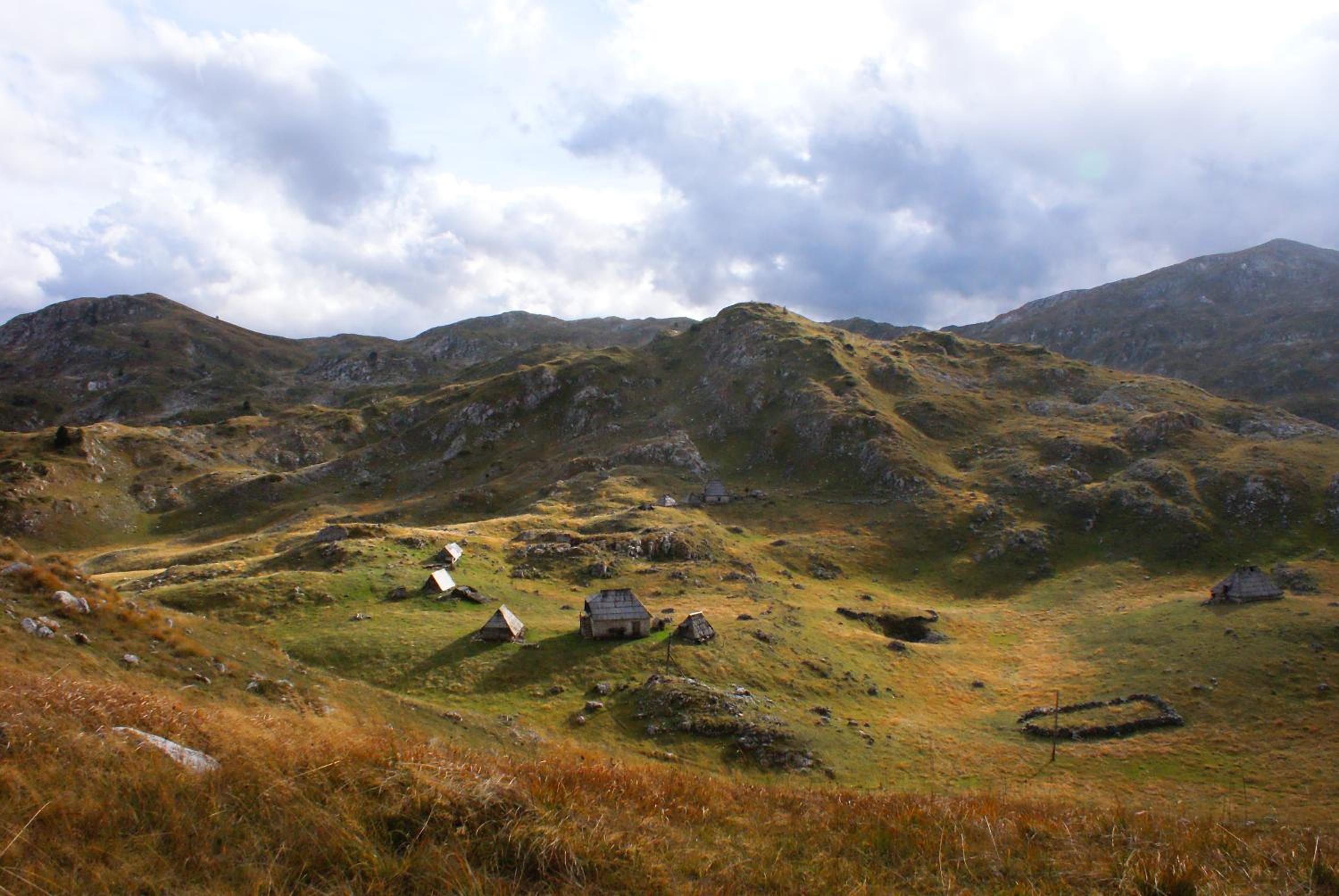 Photo 45