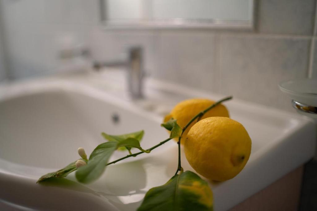 B&B Il Giardino di Zefiro