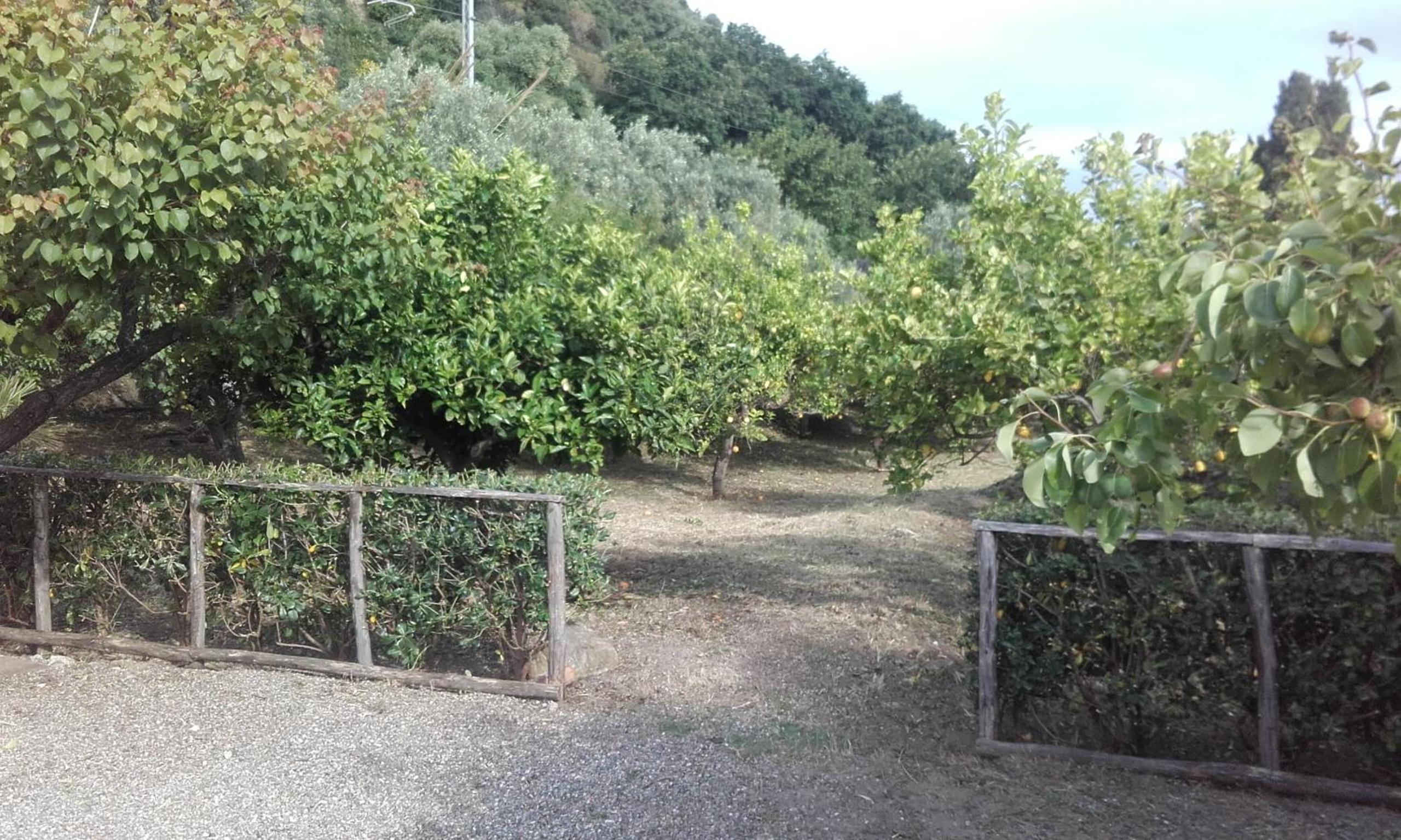 B&B Il Giardino di Zefiro
