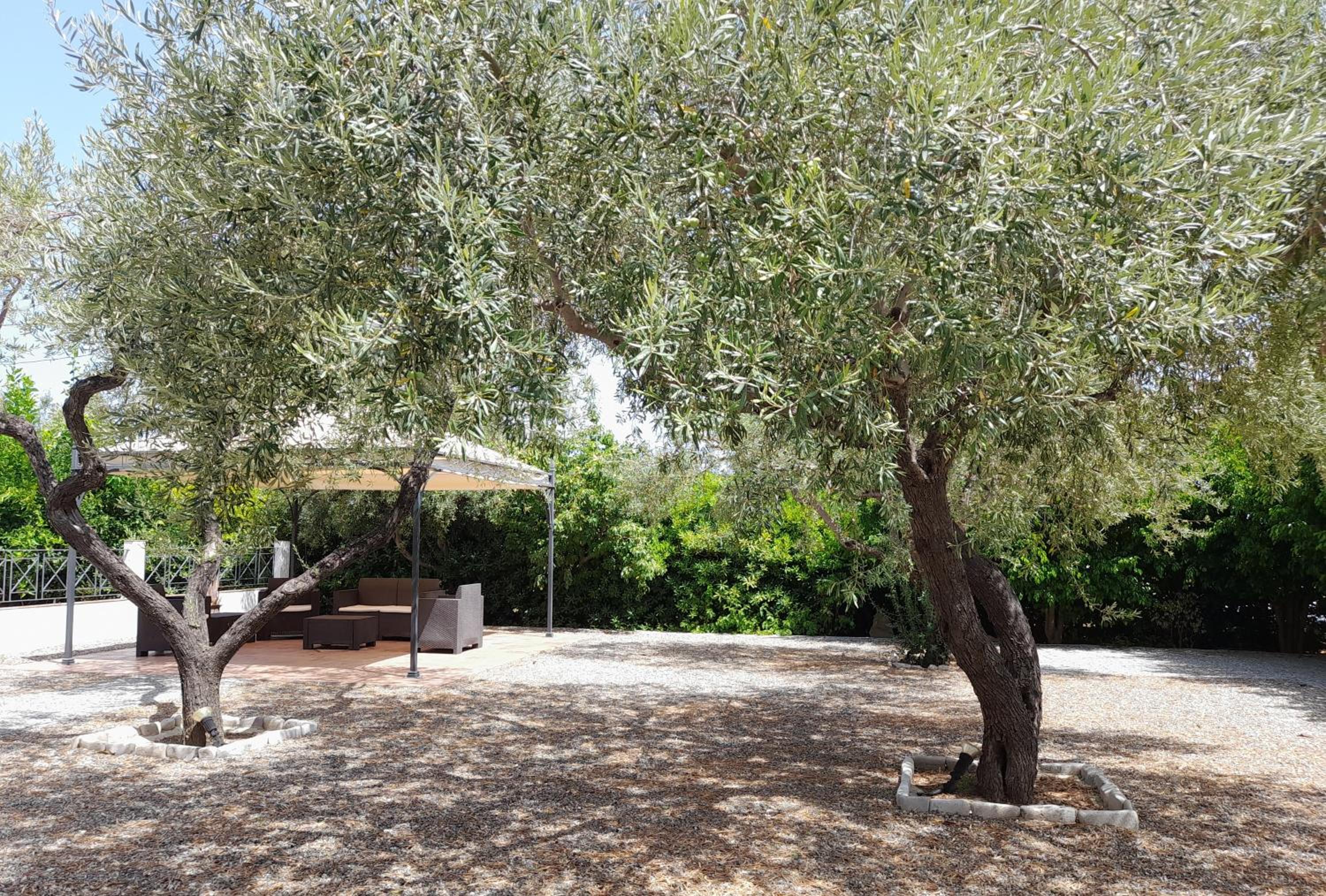 B&B Il Giardino di Zefiro