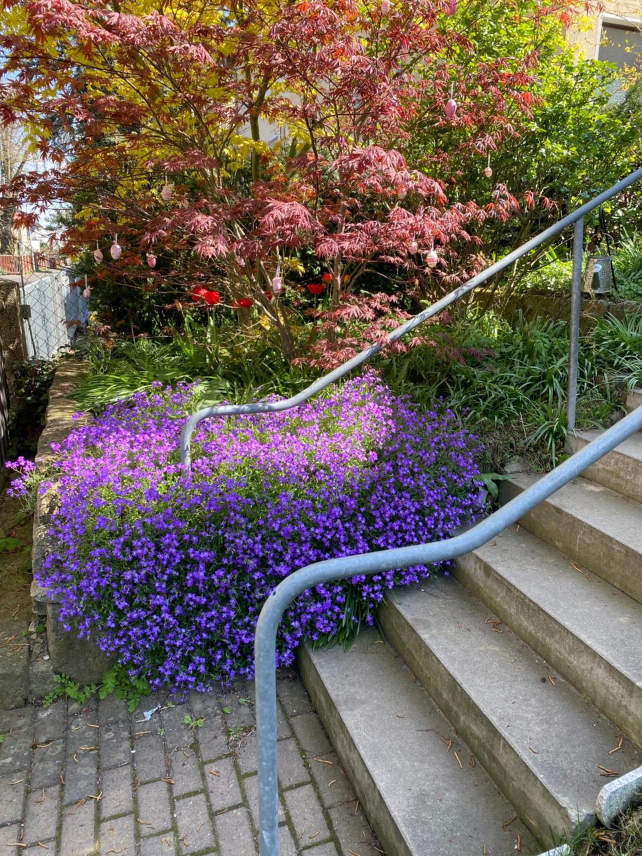 Dresden Vacations - Apartment am HohenRand Dresden Leubnitz - Property Image 6