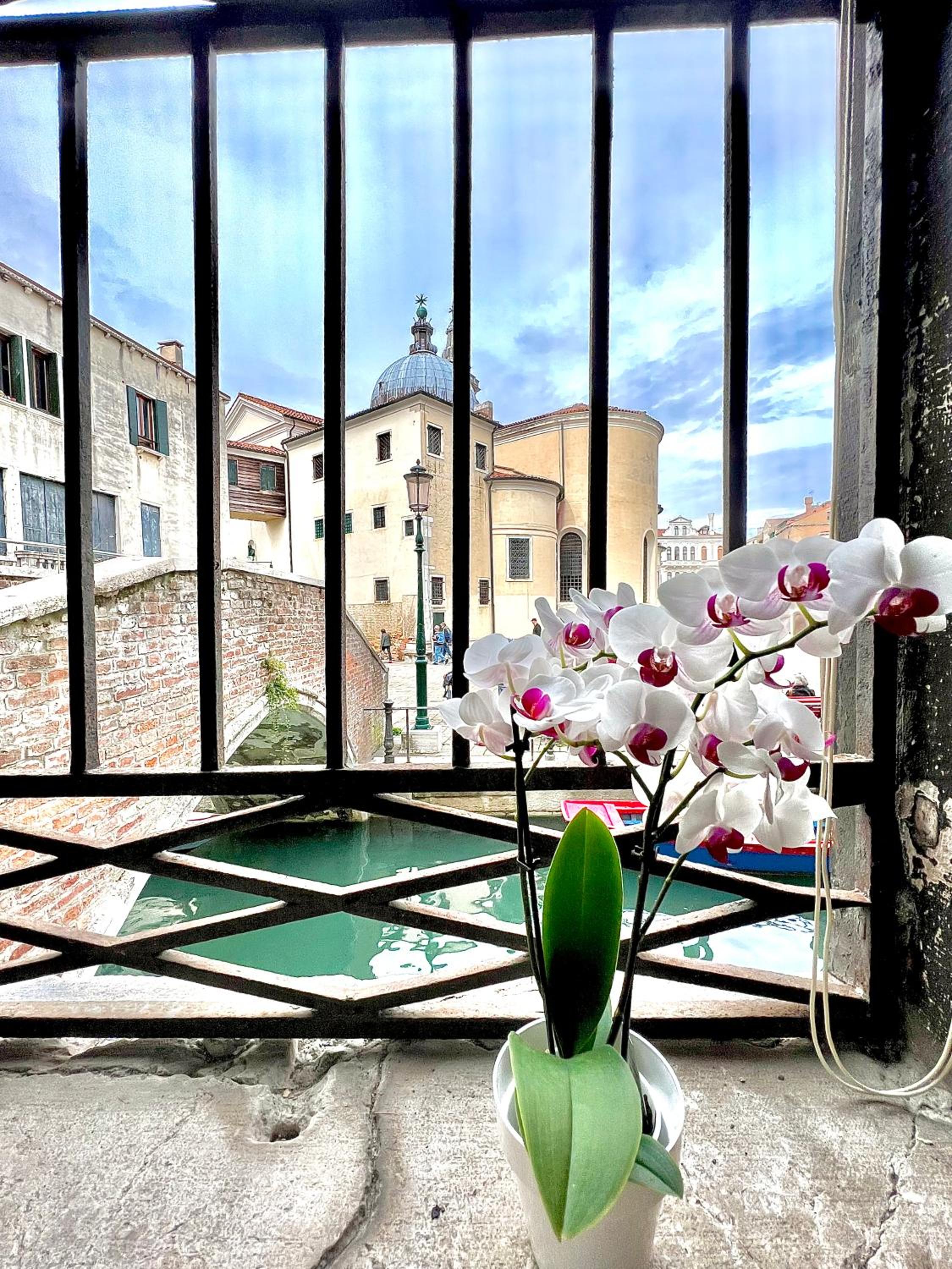PALAZZO MALIPIERO