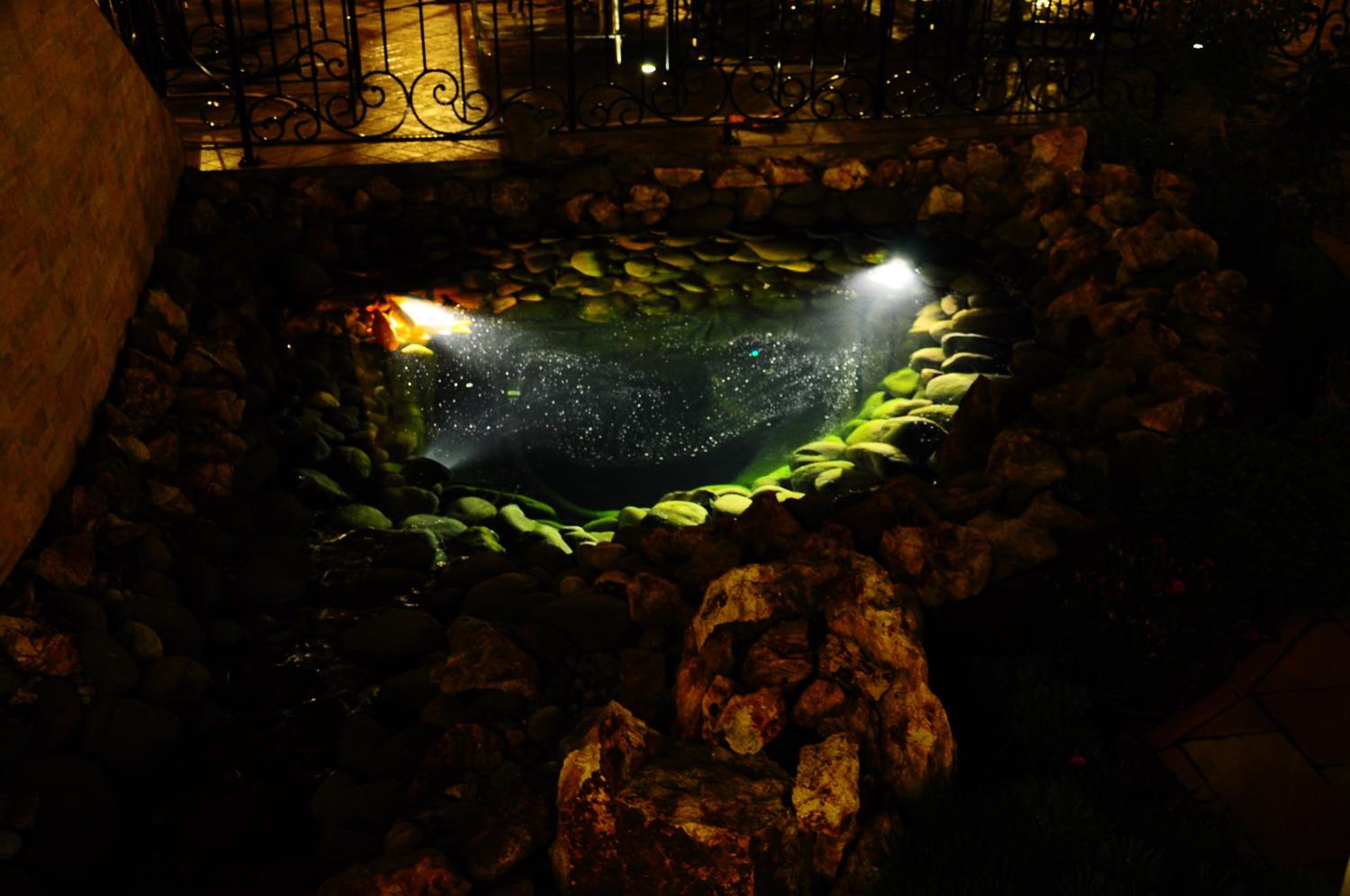 Photo 40