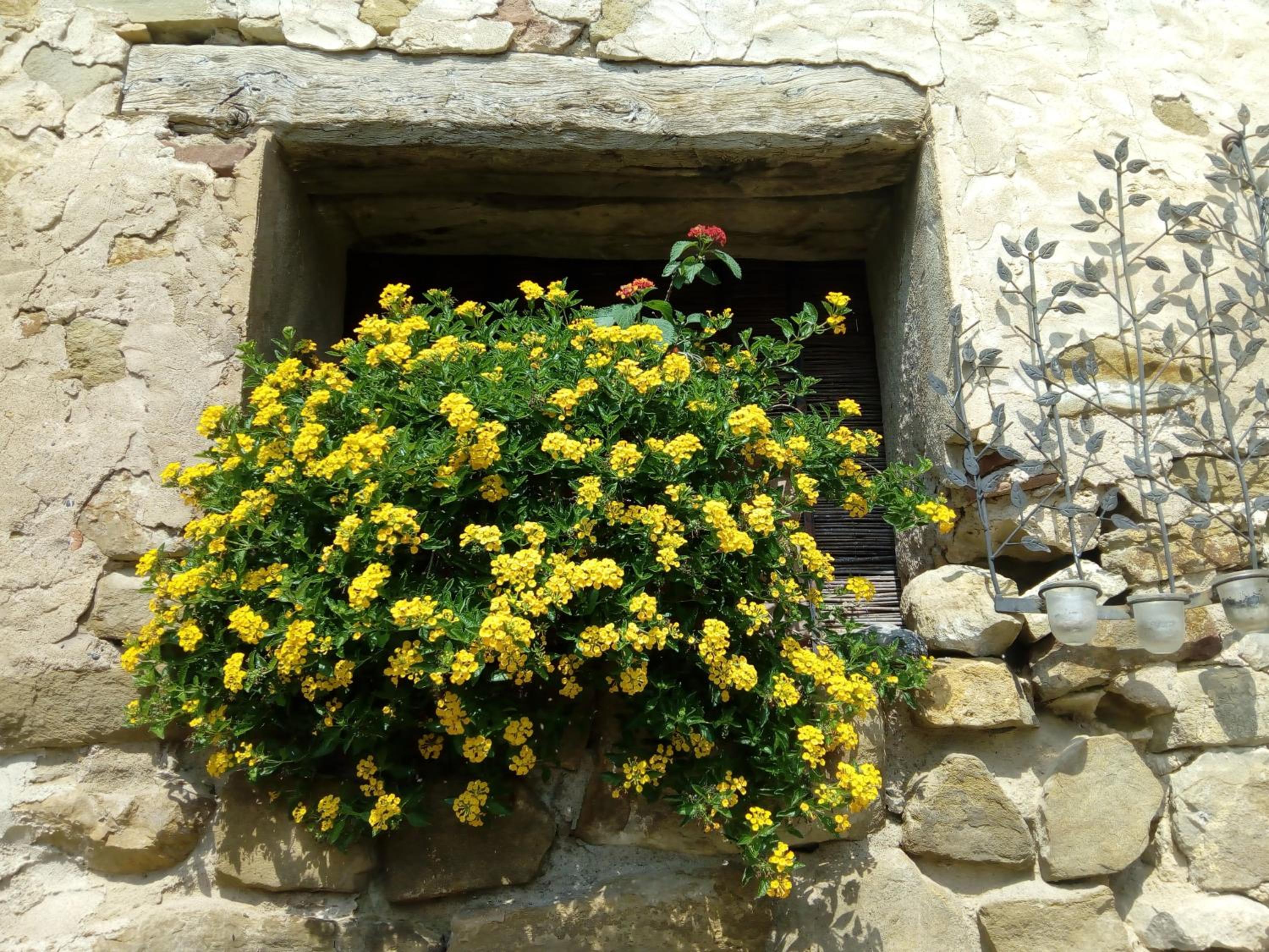 Photo 36