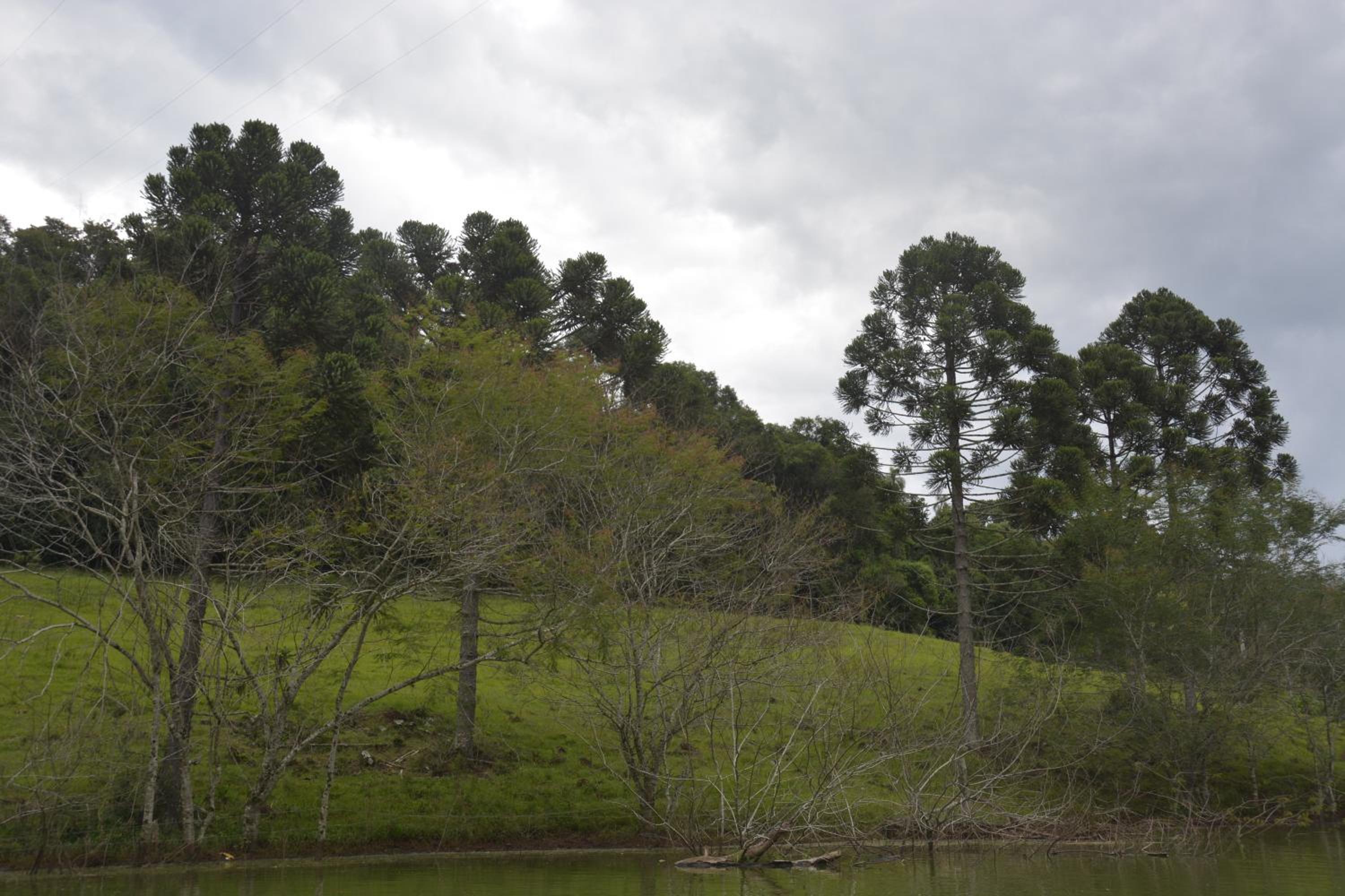 Estância das Graças
