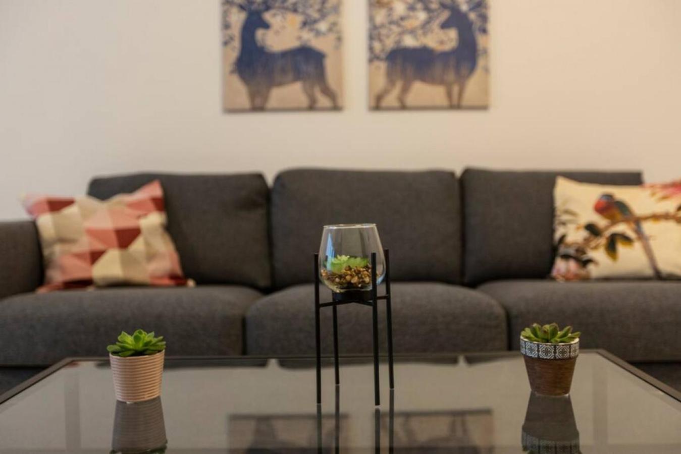 Beautiful Modern Central 2BR Apt view 5