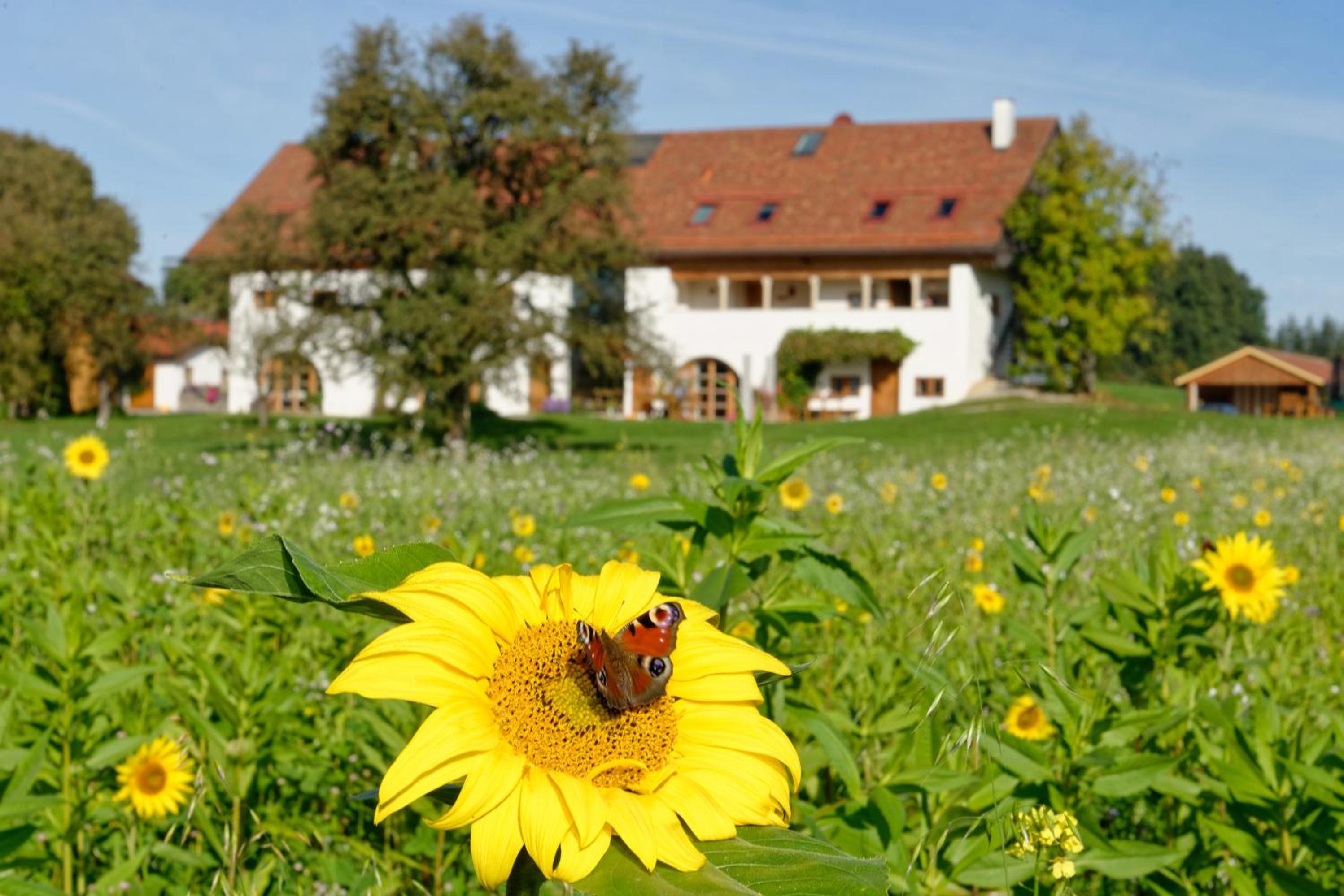 Hagerhof