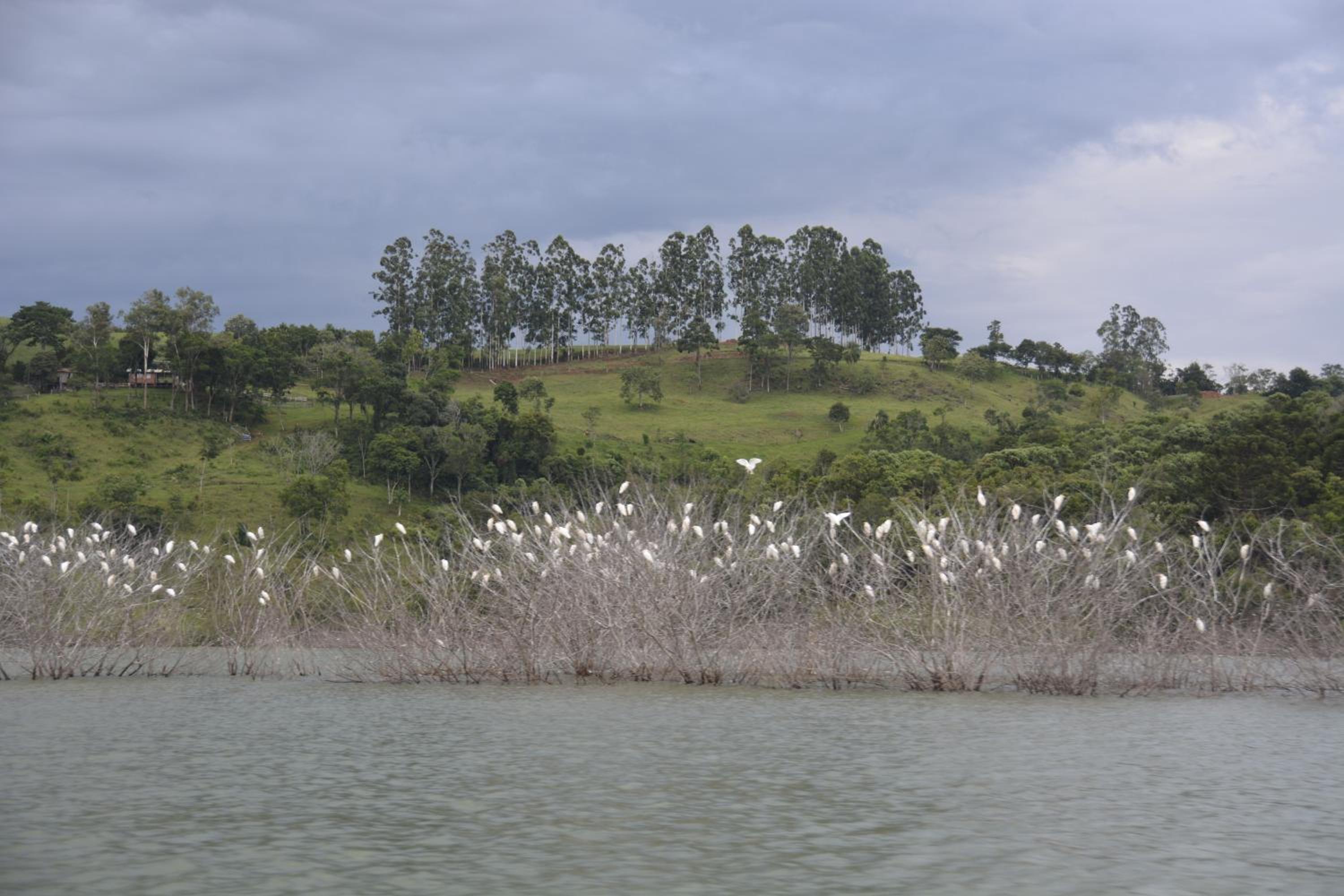 Estância das Graças