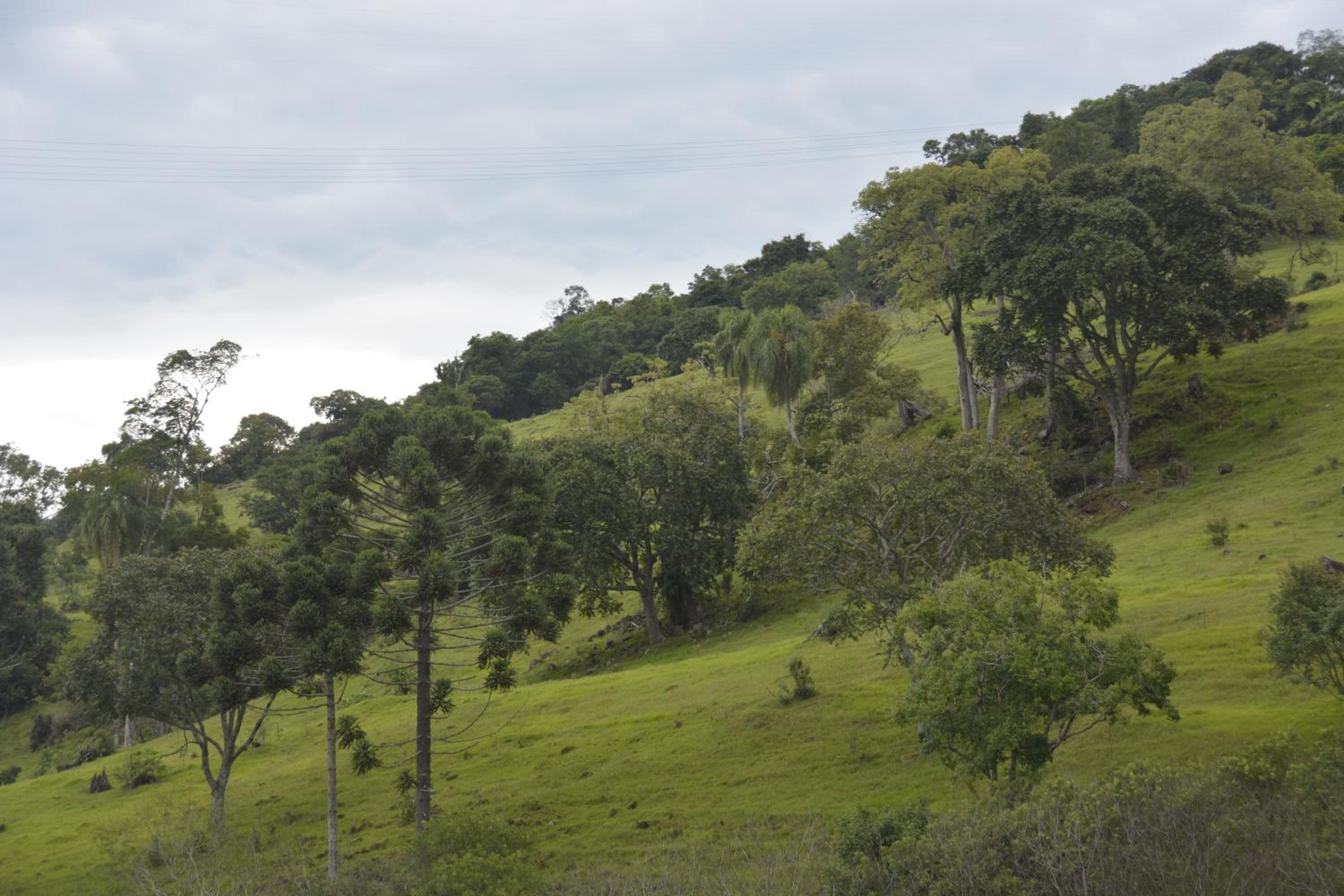 Estância das Graças