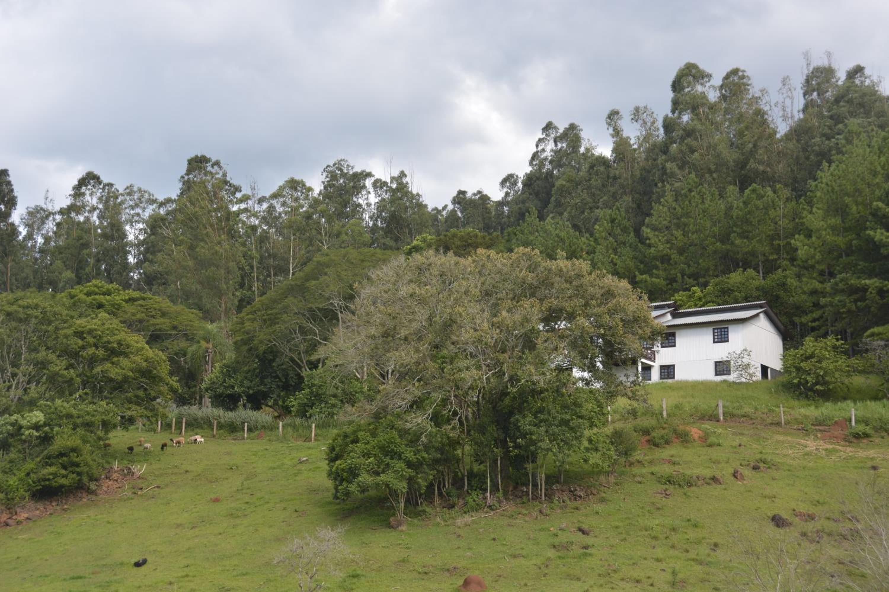 Estância das Graças
