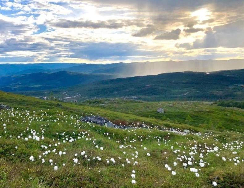 Geilo-Kikut, Ski-In, Ski-Out with Stunning Trails and Perfect Location